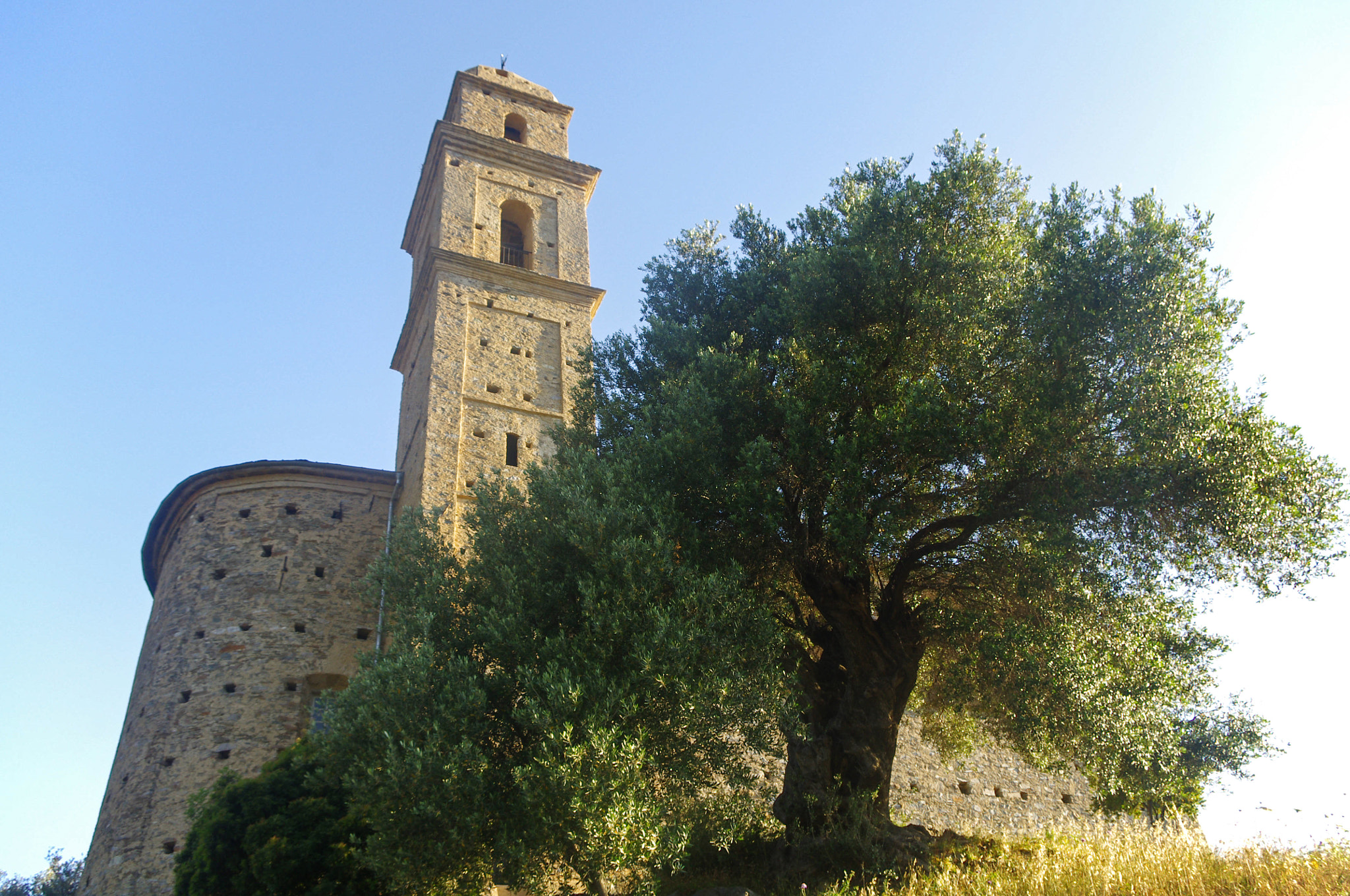 Pentax K-r sample photo. Old tree, old church... photography