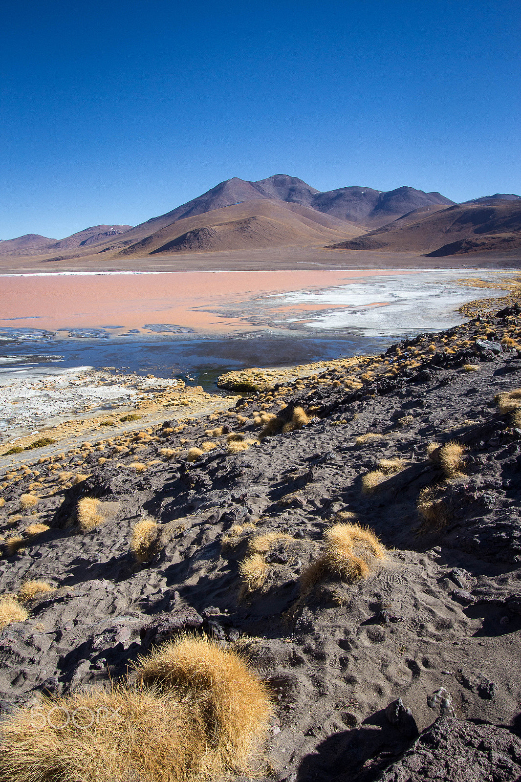 Canon EF-S 10-22mm F3.5-4.5 USM sample photo. Laguna colorada photography