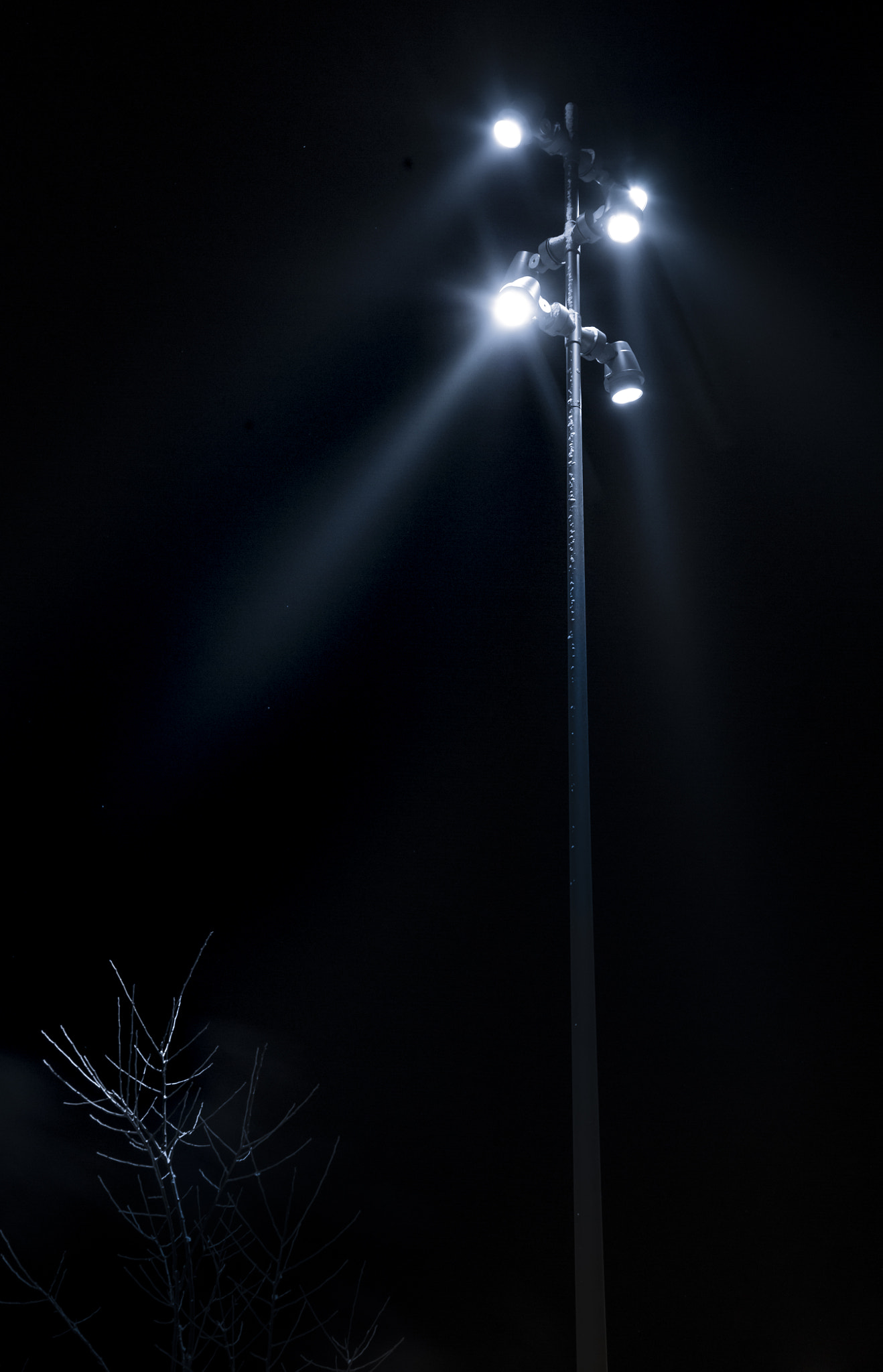 Nikon D3S sample photo. Street light taken in winterthur (switzerland) nea ... photography