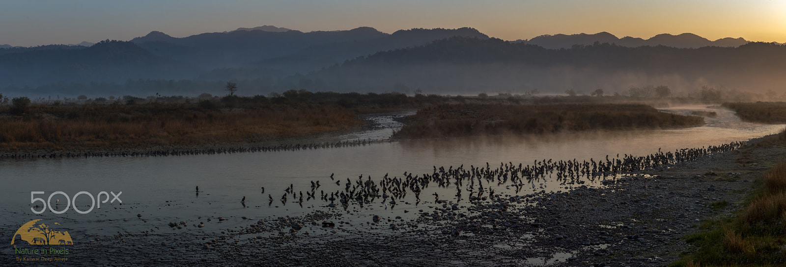 Nikon D4S sample photo. Misty himalayan pano photography