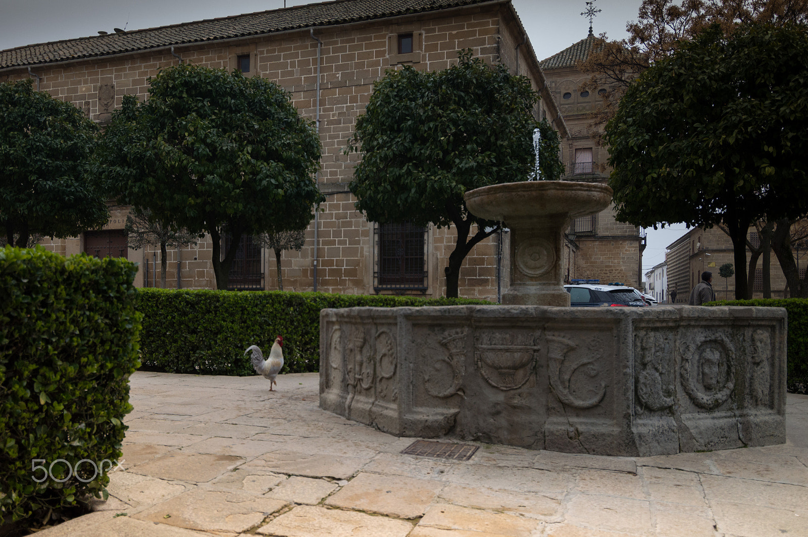 Nikon D3200 sample photo. The rooster and the fountain photography