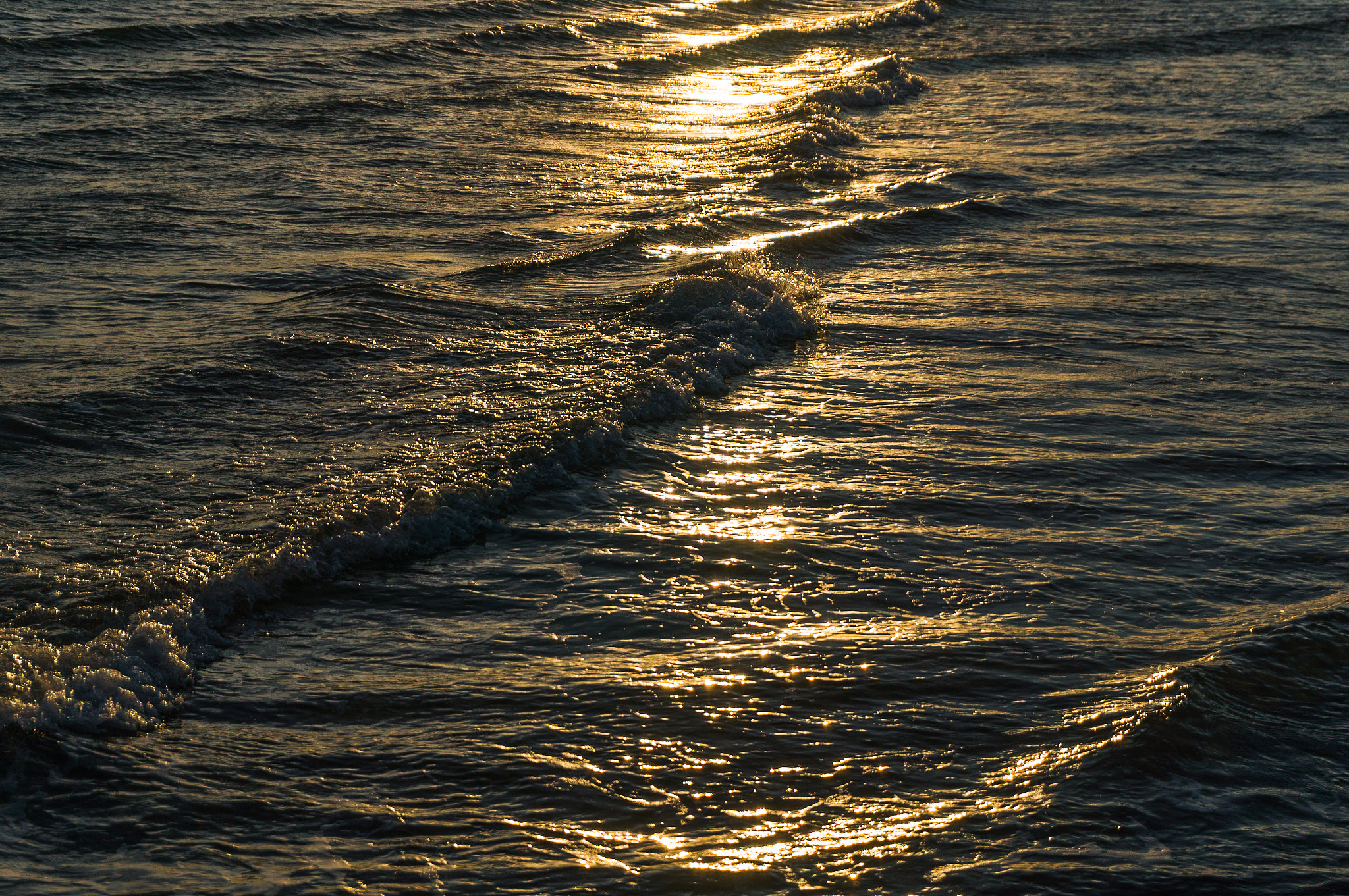 Sony Alpha NEX-5R sample photo. Seascape of camargue photography
