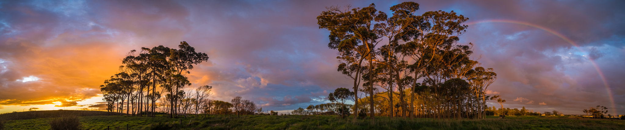 AF Nikkor 20mm f/2.8 sample photo. Electric evening photography