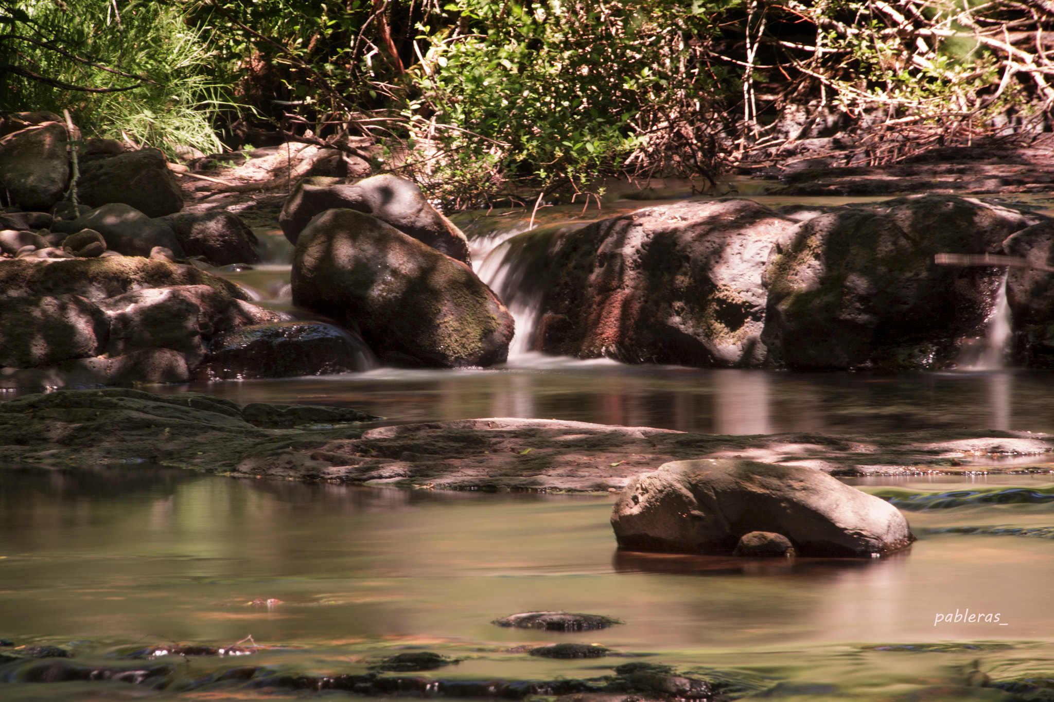 Canon EOS 1100D (EOS Rebel T3 / EOS Kiss X50) sample photo. Rio camesa photography