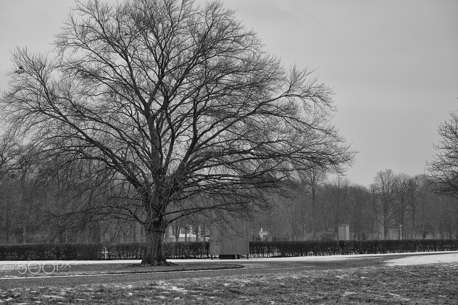 Pentax K-1 sample photo. Views of dresden photography