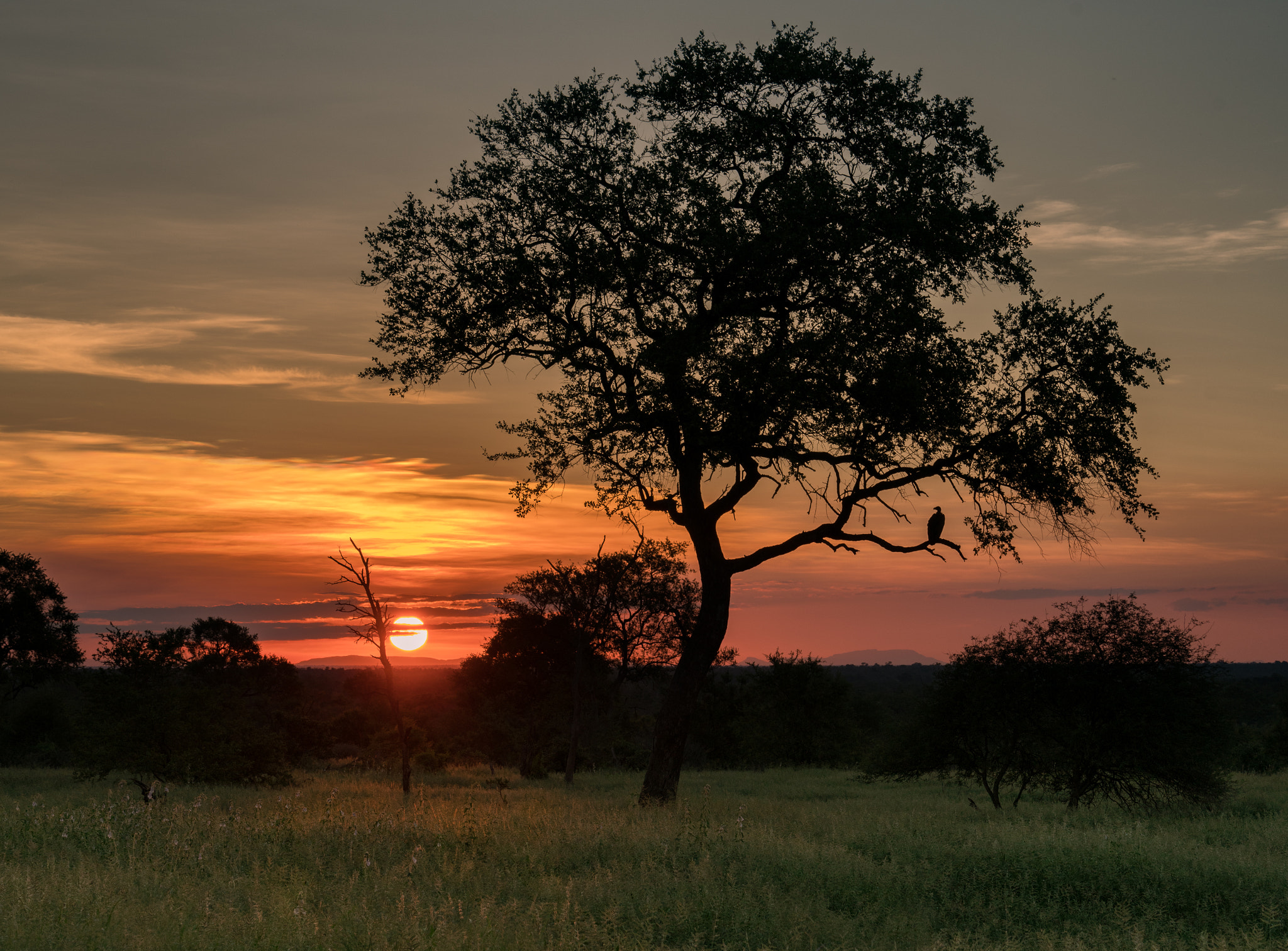 Sony 70-400mm F4-5.6 G SSM II sample photo. African sunset photography