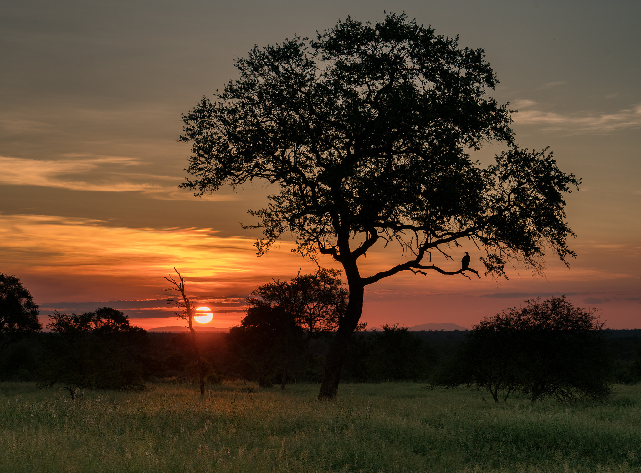 Sony a7R II + Sony 70-400mm F4-5.6 G SSM II sample photo. African sunset photography