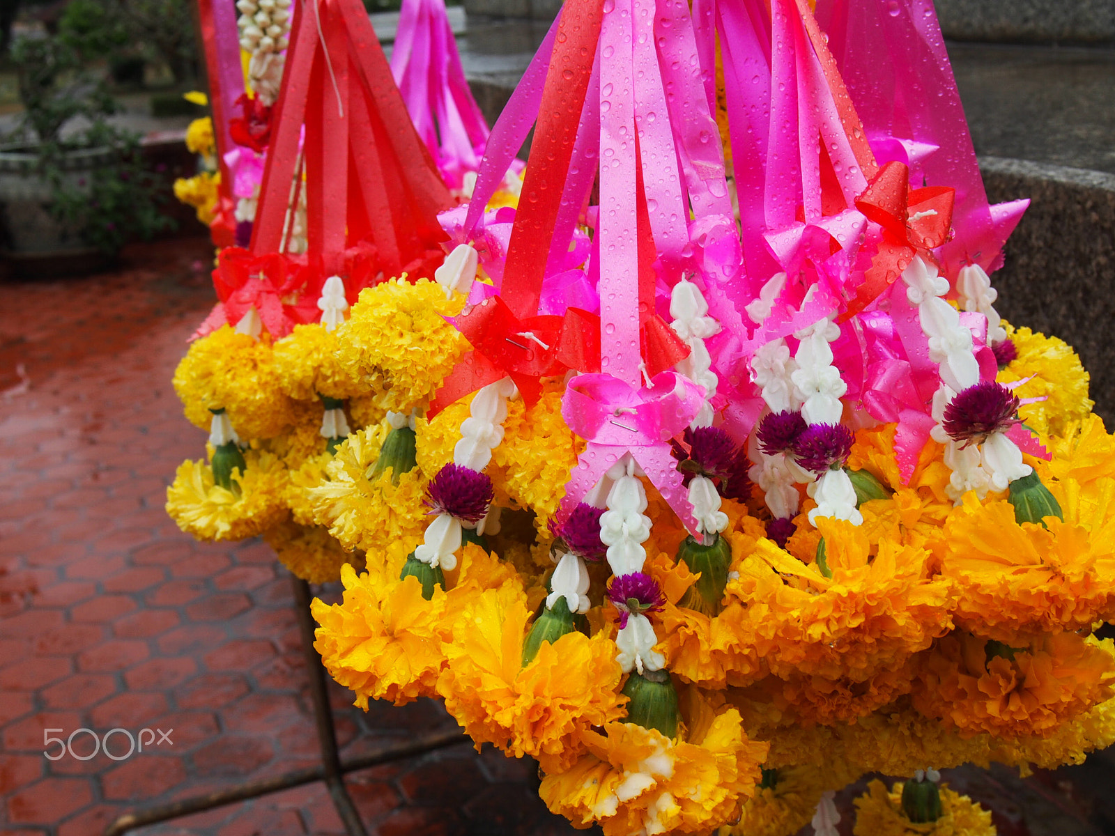 Olympus OM-D E-M5 sample photo. Flower offerings in sukhothai thailand photography