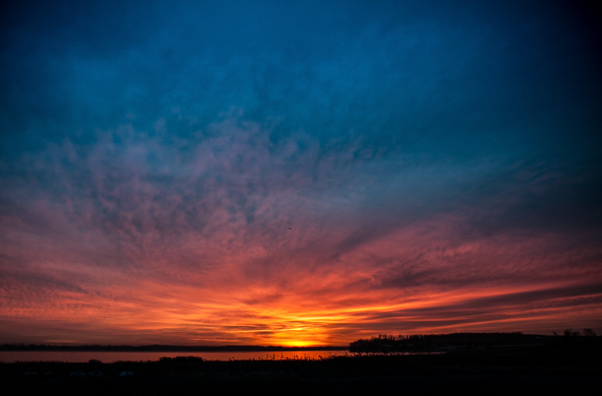 Canon EF-S 17-55mm F2.8 IS USM sample photo. Img photography