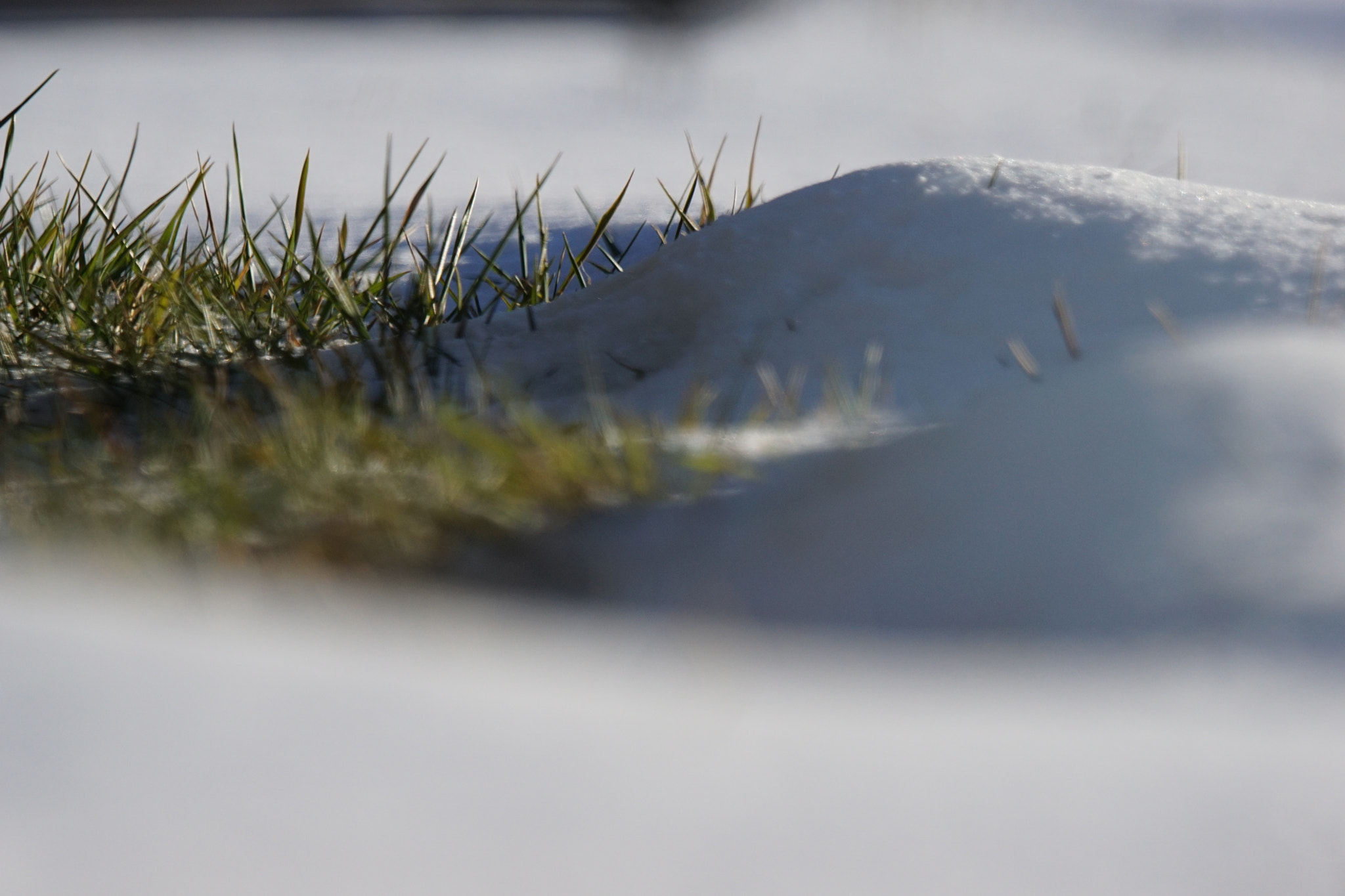 Sony ILCA-77M2 sample photo. Dune de neige photography