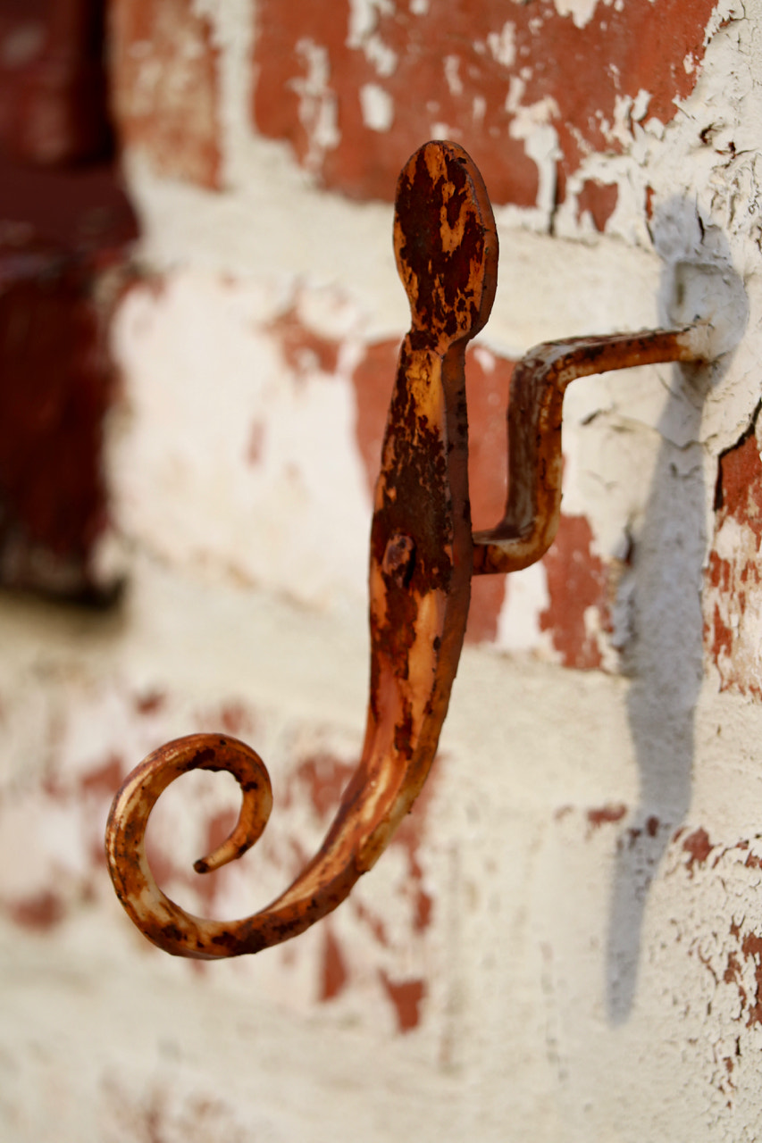 Canon EF-S 55-250mm F4-5.6 IS STM sample photo. Old wall photography