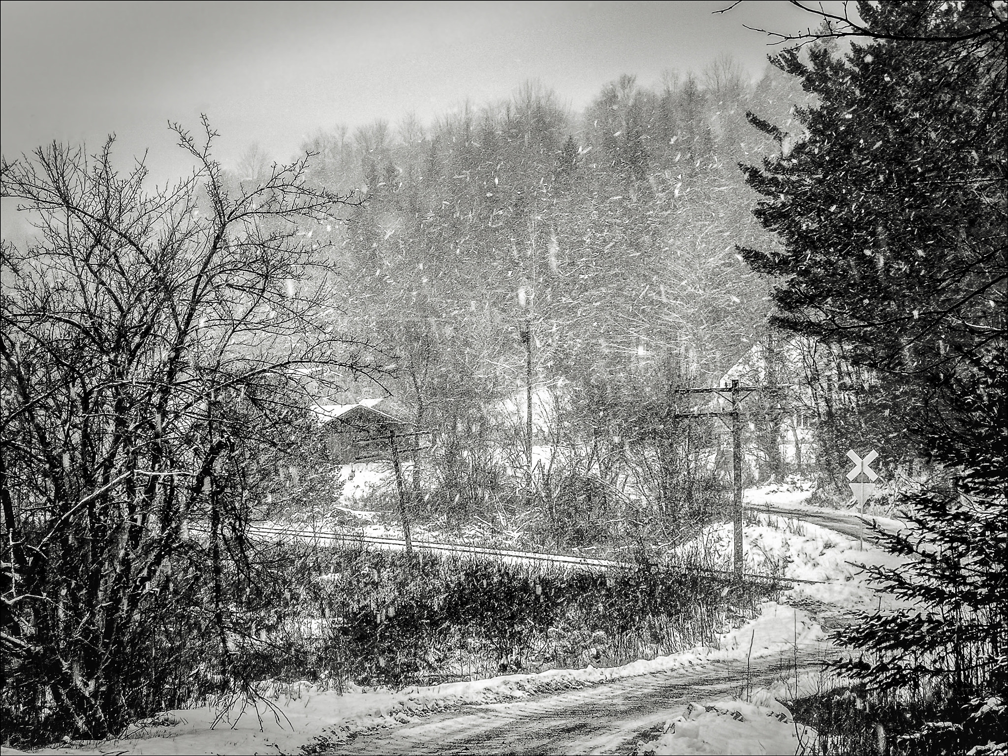 Nikon E7900 sample photo. Mill lane snow photography