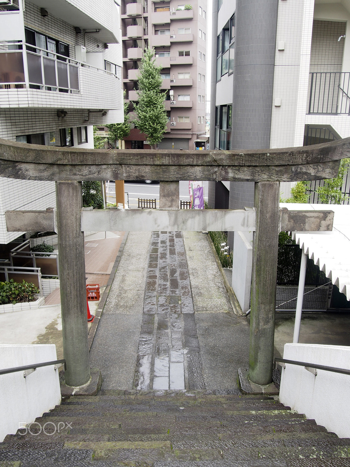 Olympus OM-D E-M5 sample photo. Torii gate at a shinto shrine in downtown tokyo japan photography