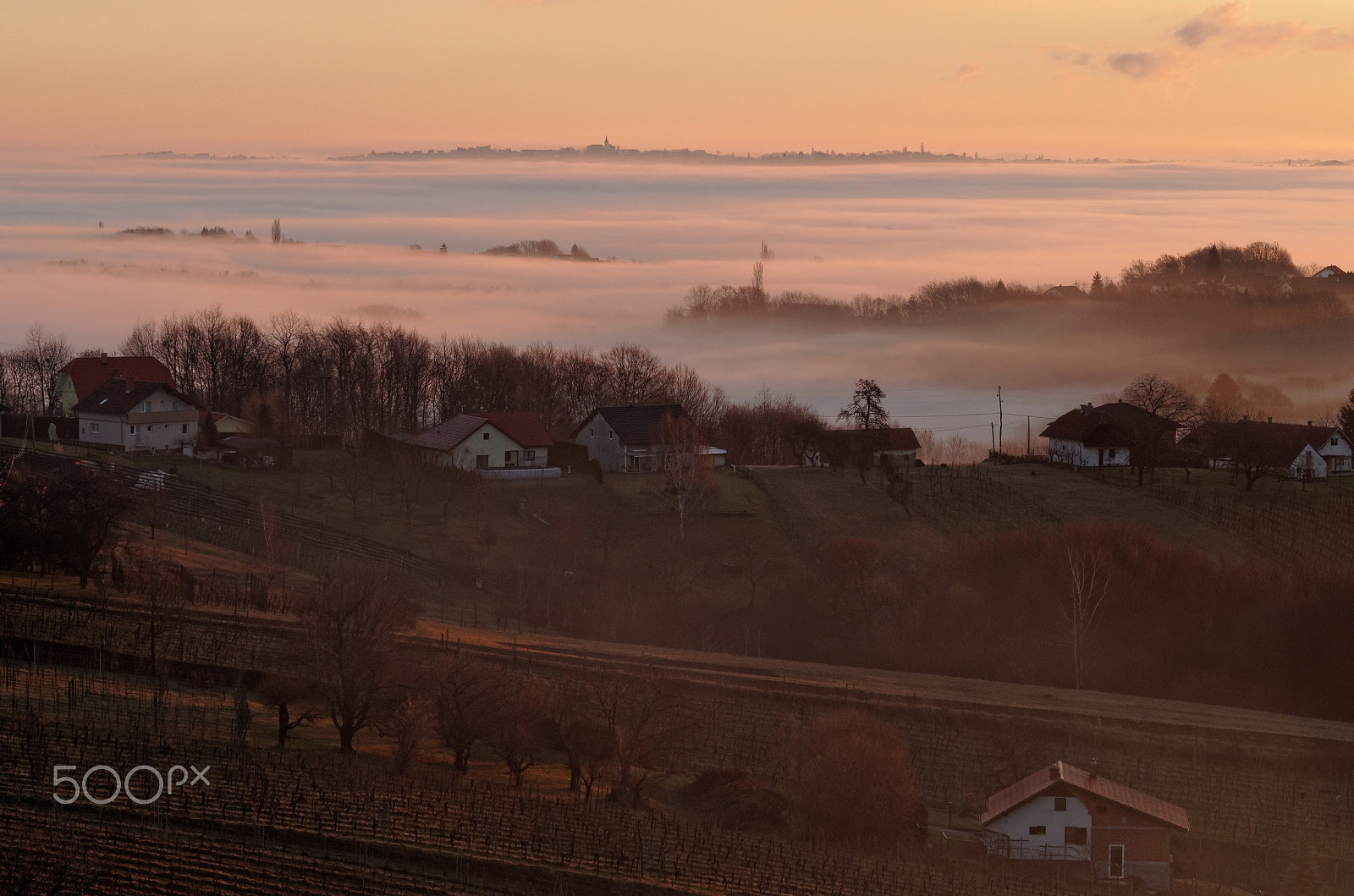 Tamron AF 70-300mm F4-5.6 LD Macro 1:2 sample photo. Slovenske gorice 5 photography