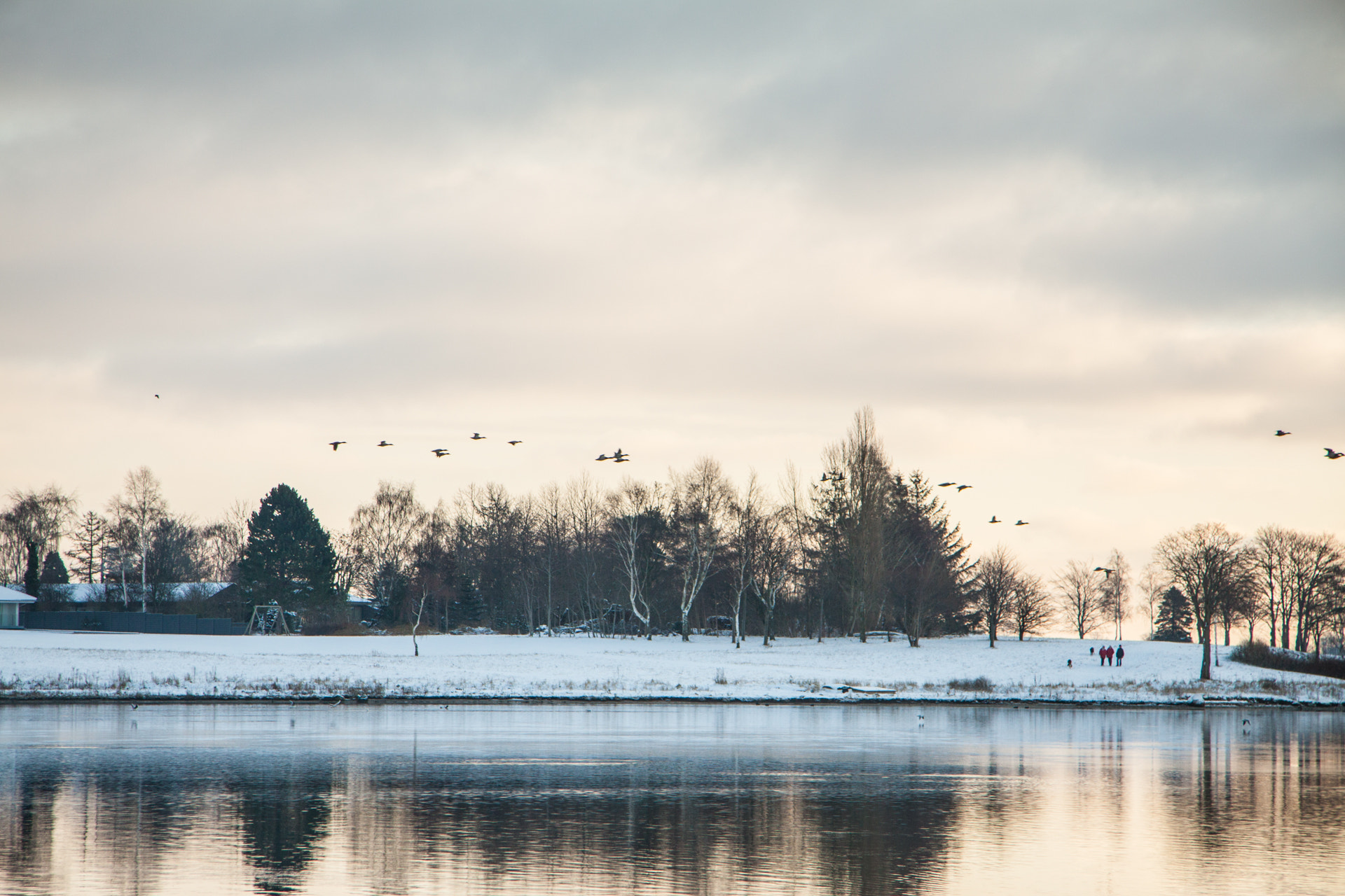 Canon EF-S 17-85mm F4-5.6 IS USM sample photo. Winter morning photography