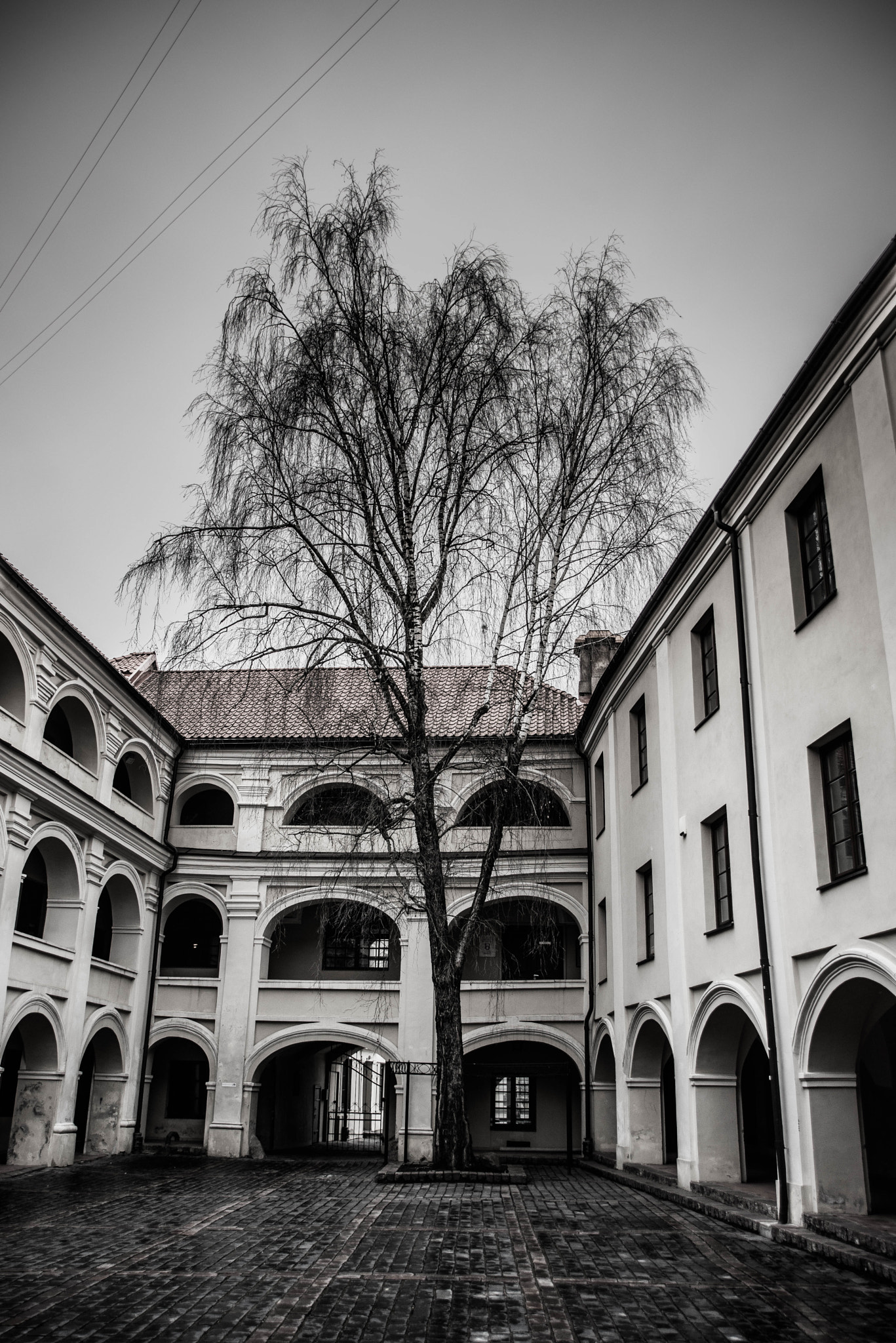 AF Zoom-Nikkor 28-105mm f/3.5-4.5D IF sample photo. Vilnus photography