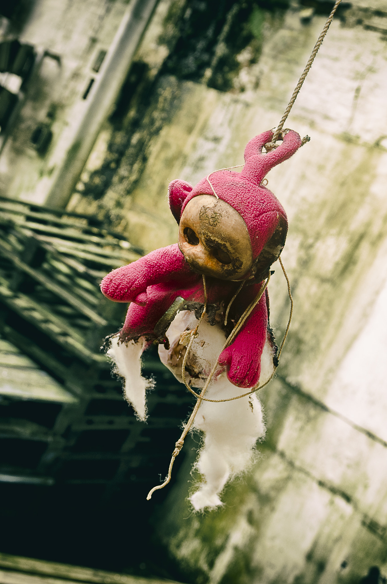Nikon AF-S Nikkor 24-70mm F2.8G ED sample photo. Goodnight po photography