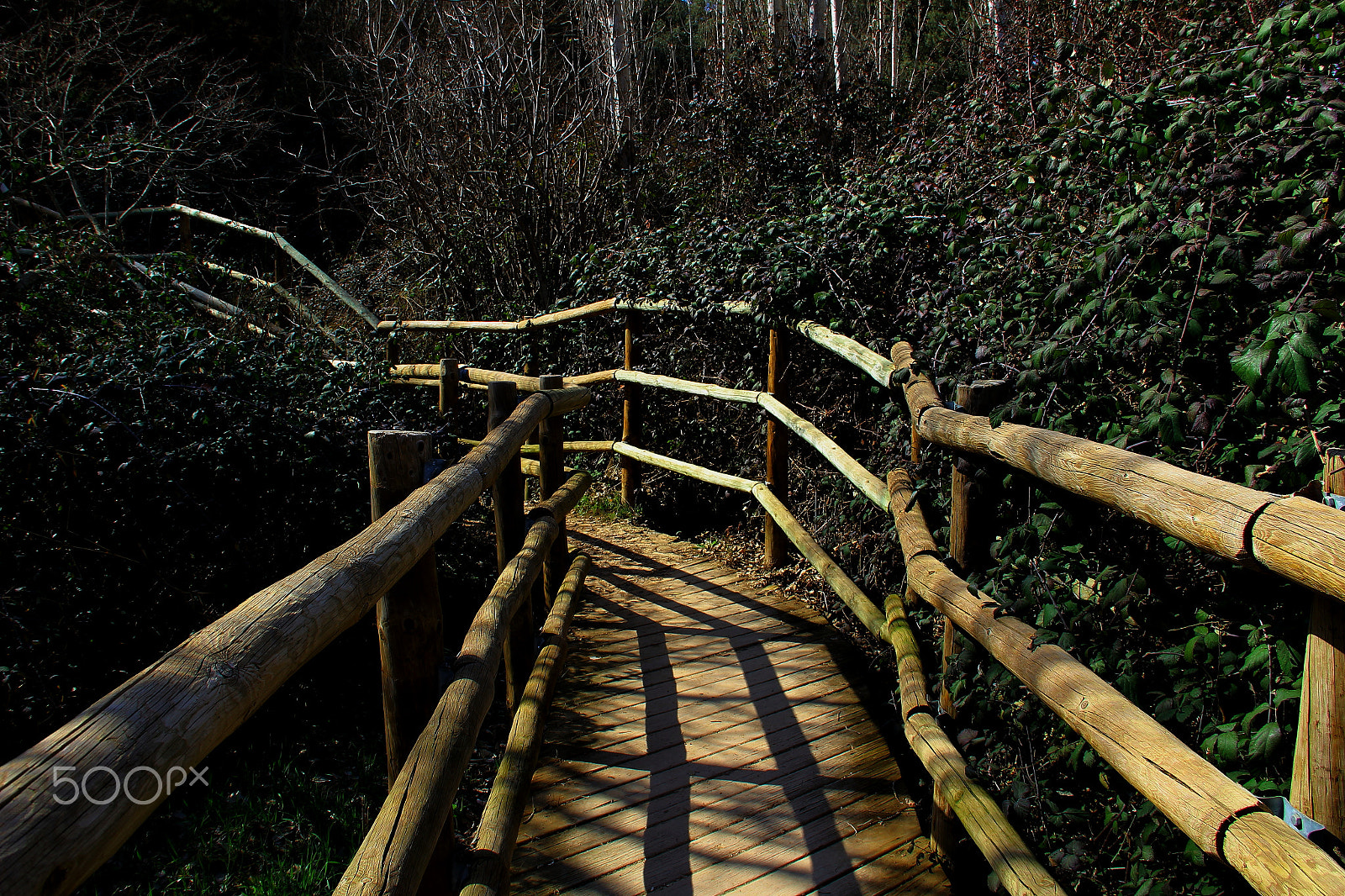 Canon EF-S 18-135mm F3.5-5.6 IS sample photo. Wooden walkway photography