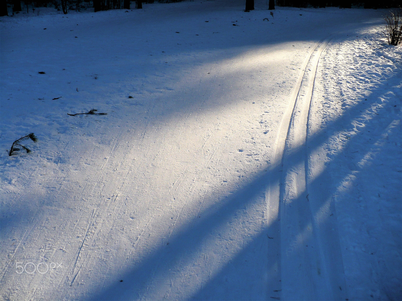 Panasonic DMC-LZ7 sample photo. A ray of sunshine on the track photography