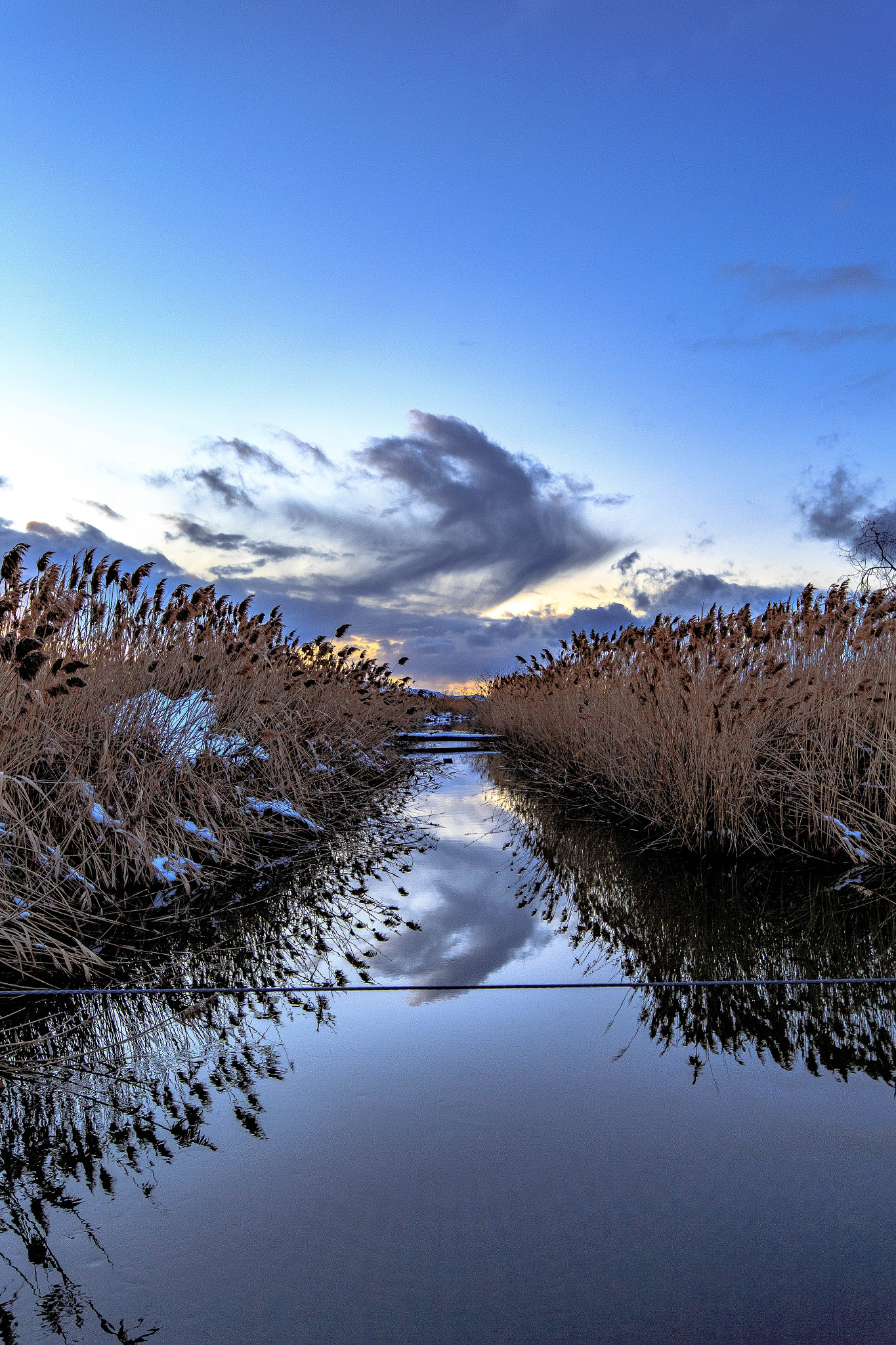 Canon EOS 6D + Canon EF 300mm f/2.8L sample photo. An evening walk photography