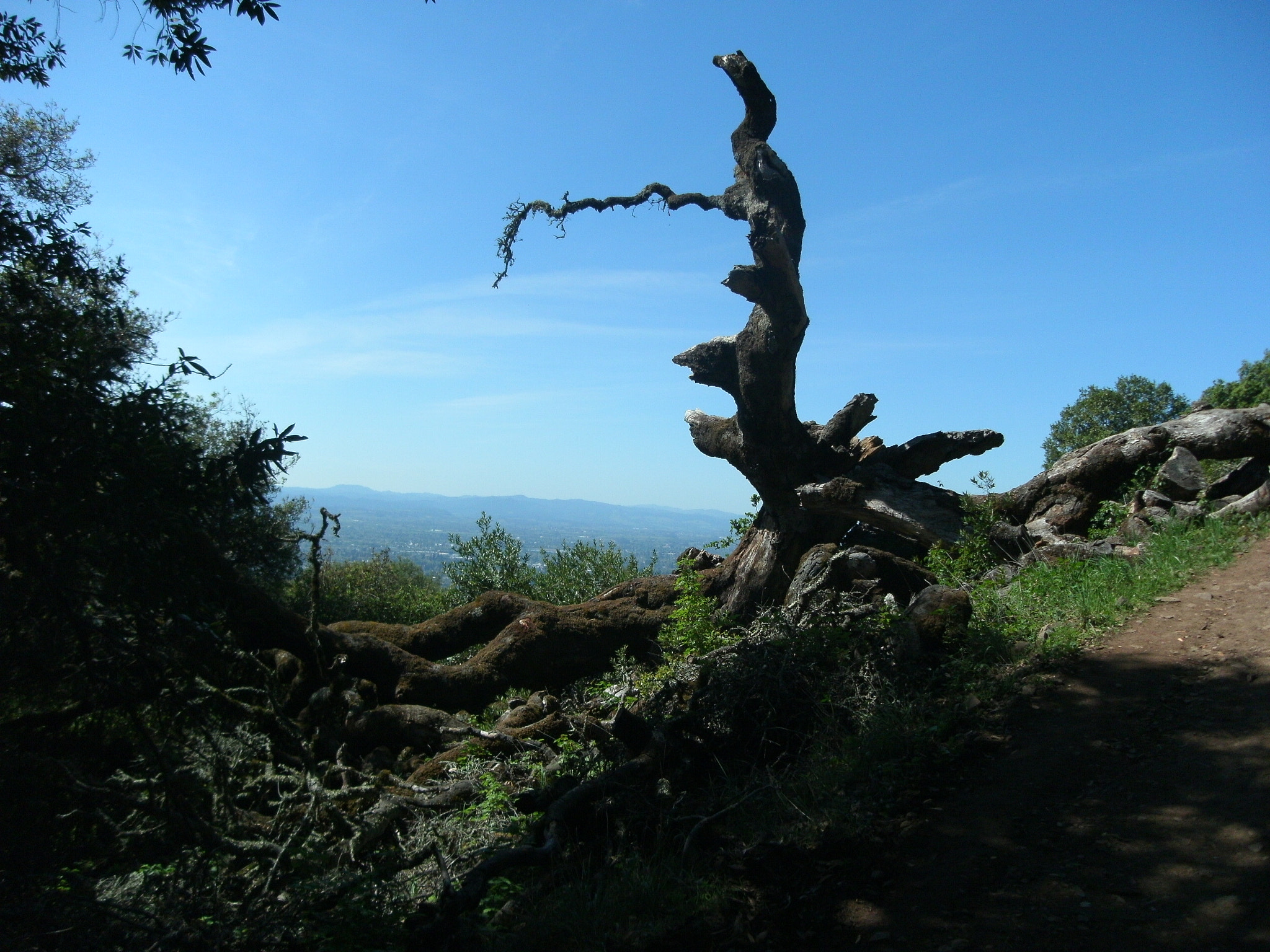 GENERAL IMAGING CO. C1233 sample photo. Santa rosa plain gk photography