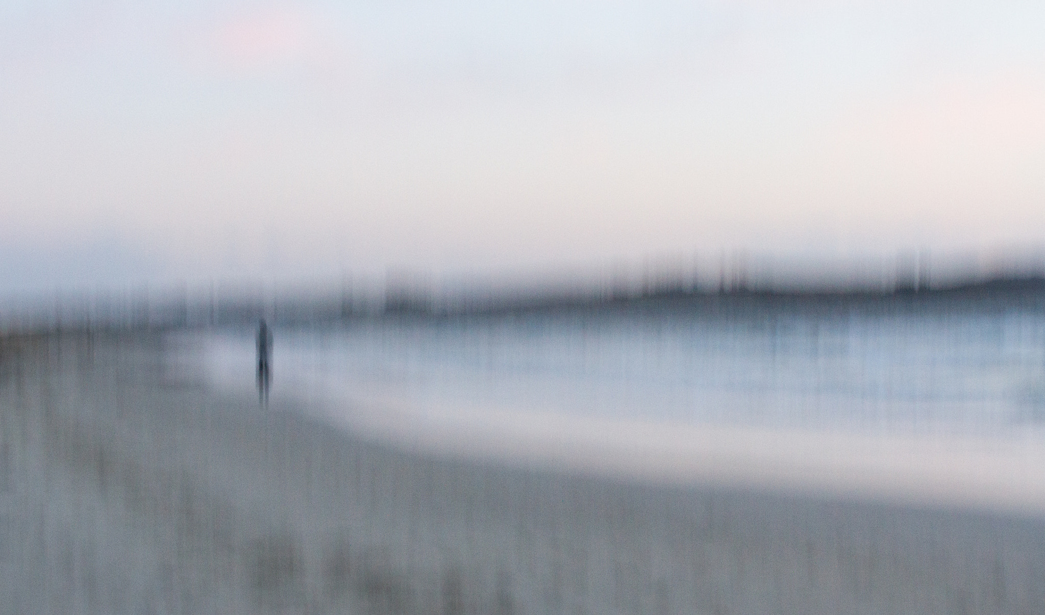 Canon EF 75-300mm F4.0-5.6 IS USM sample photo. A walk on the beach photography