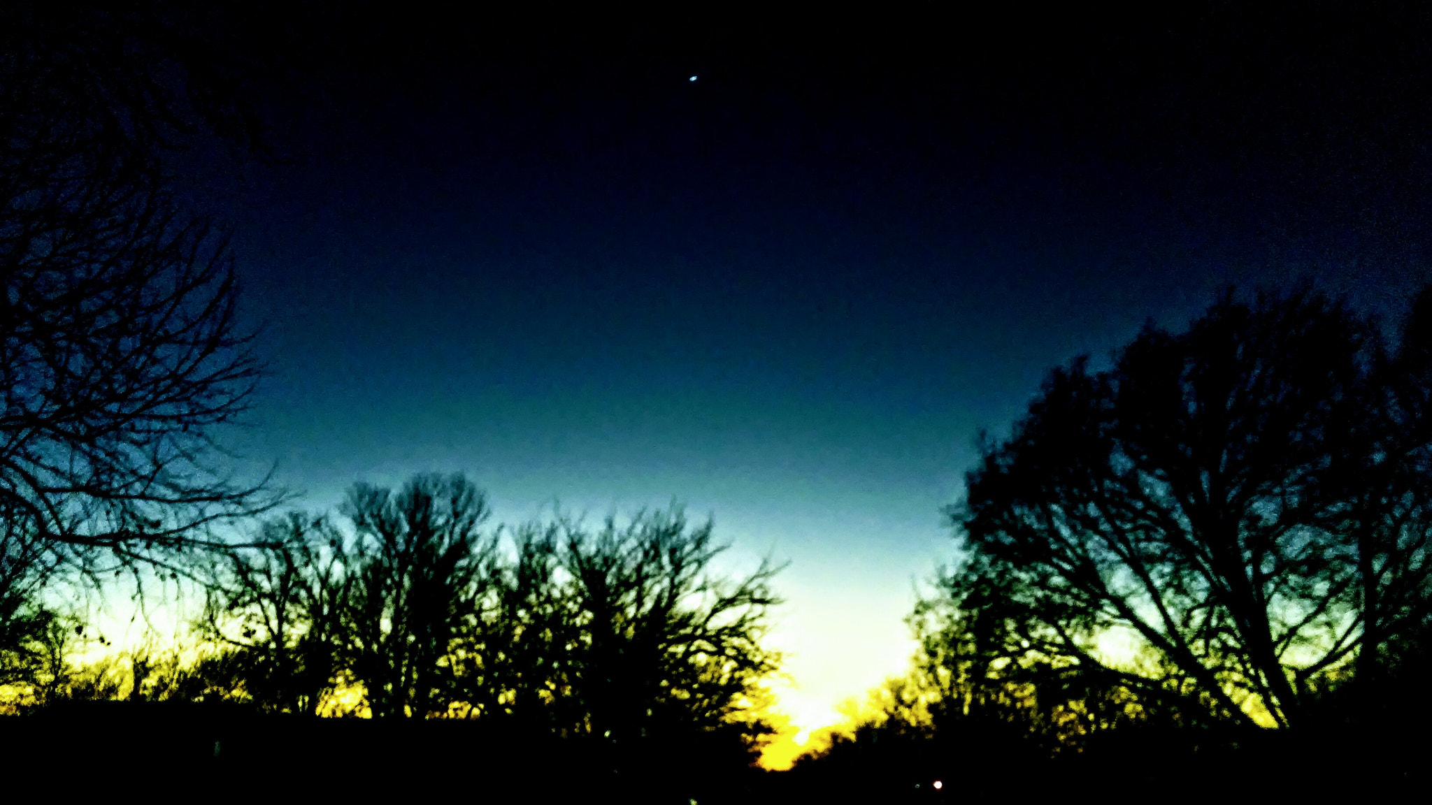 LG K10 sample photo. Wylie coyotes photography