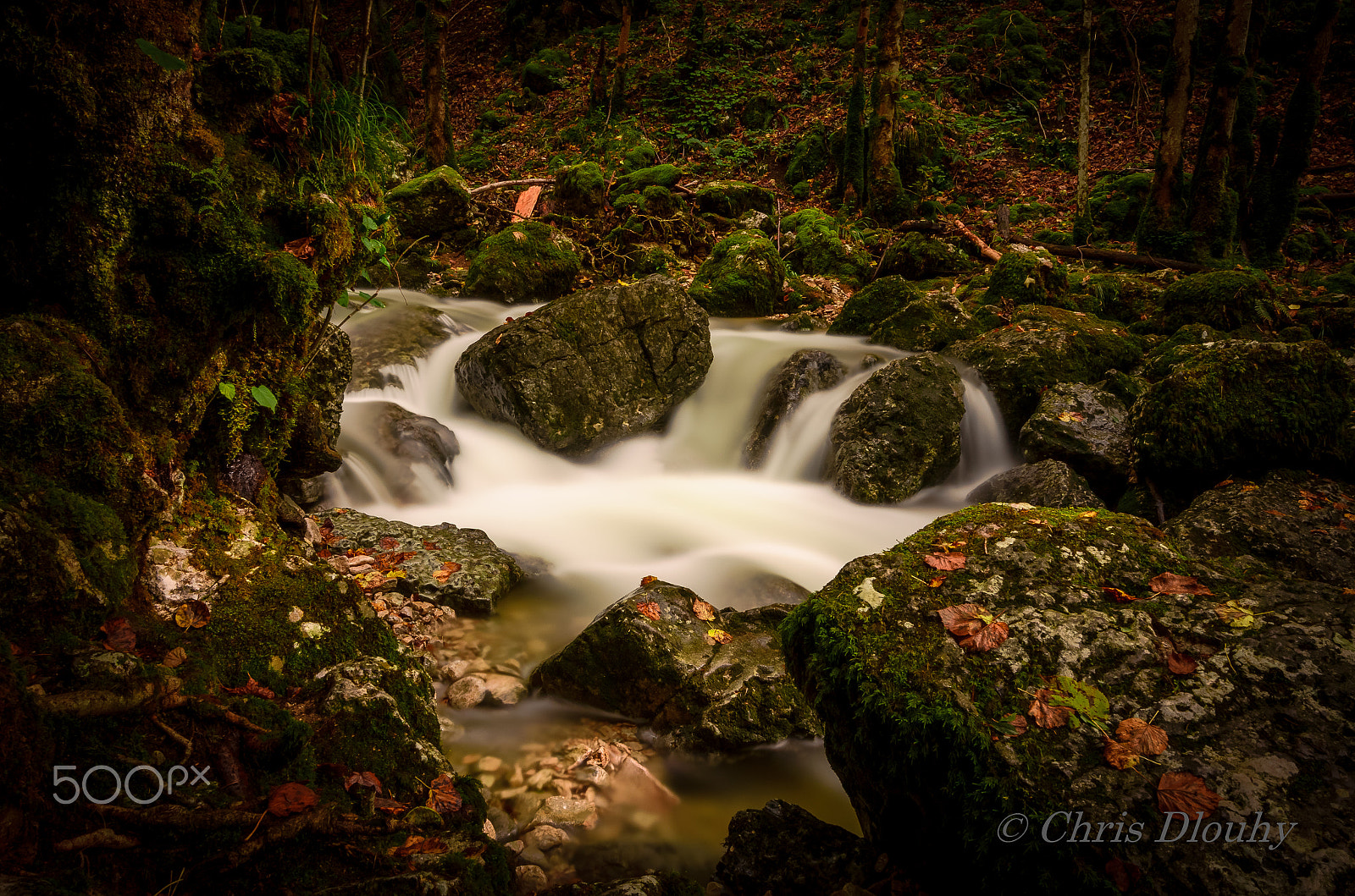 Nikon AF-S Nikkor 14-24mm F2.8G ED sample photo. Mystic creek photography