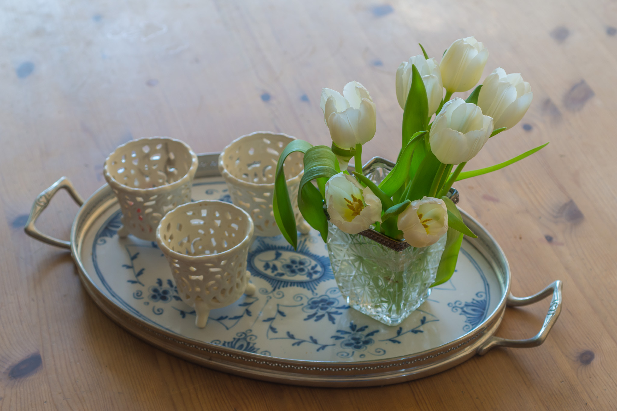 Nikon D7200 + AF Micro-Nikkor 60mm f/2.8 sample photo. Tulips photography