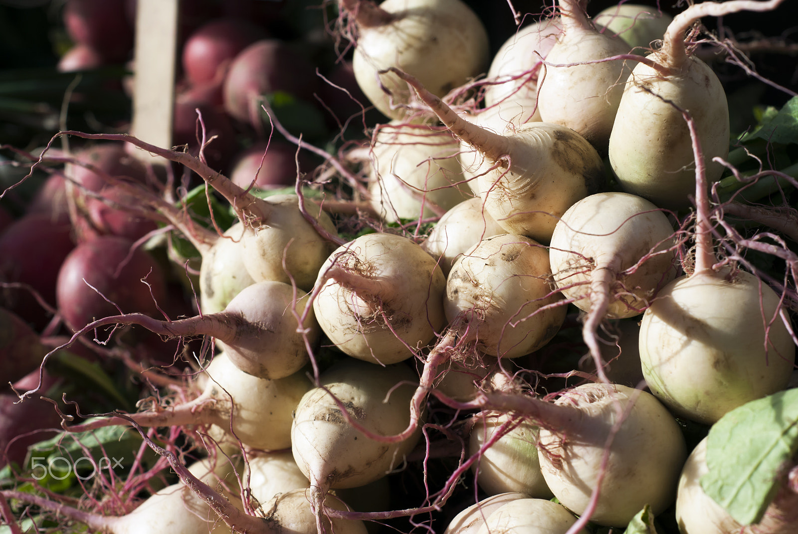 Nikon D60 + Nikon AF Nikkor 50mm F1.8D sample photo. Turnips at farmers market photography