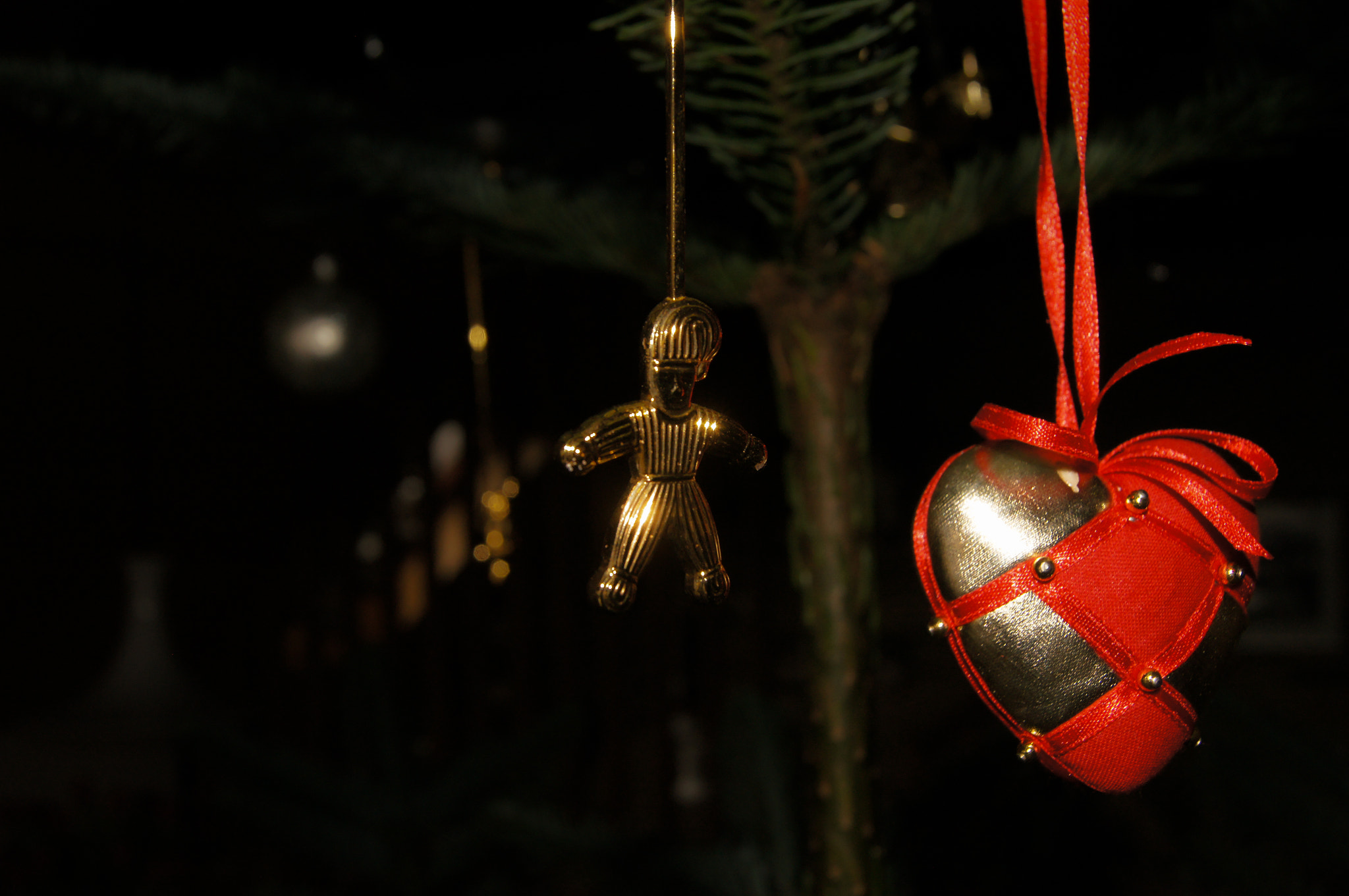 Sony SLT-A55 (SLT-A55V) sample photo. Decoration photography