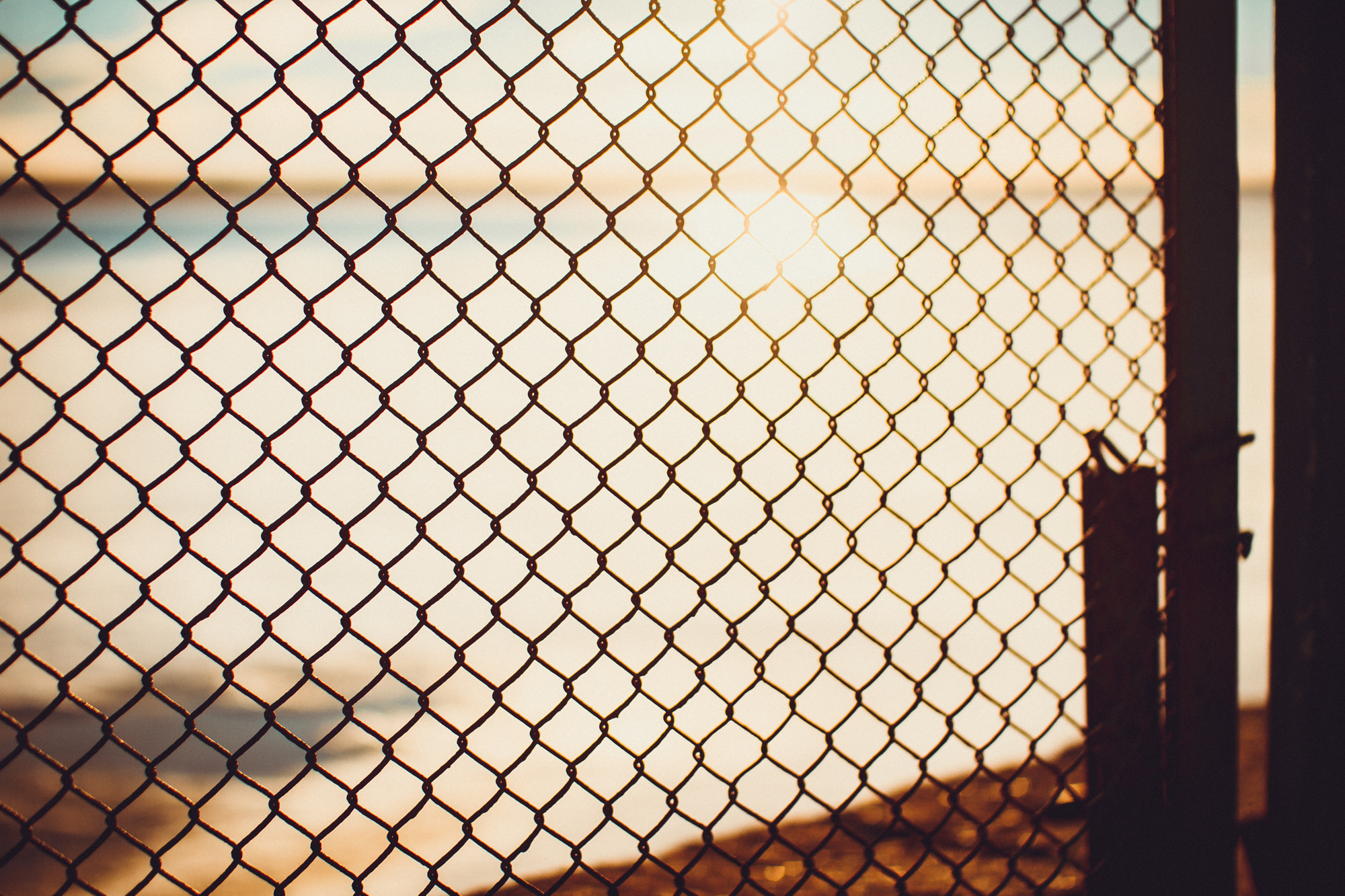 Sigma 30mm F1.4 EX DC HSM sample photo. Fence photography