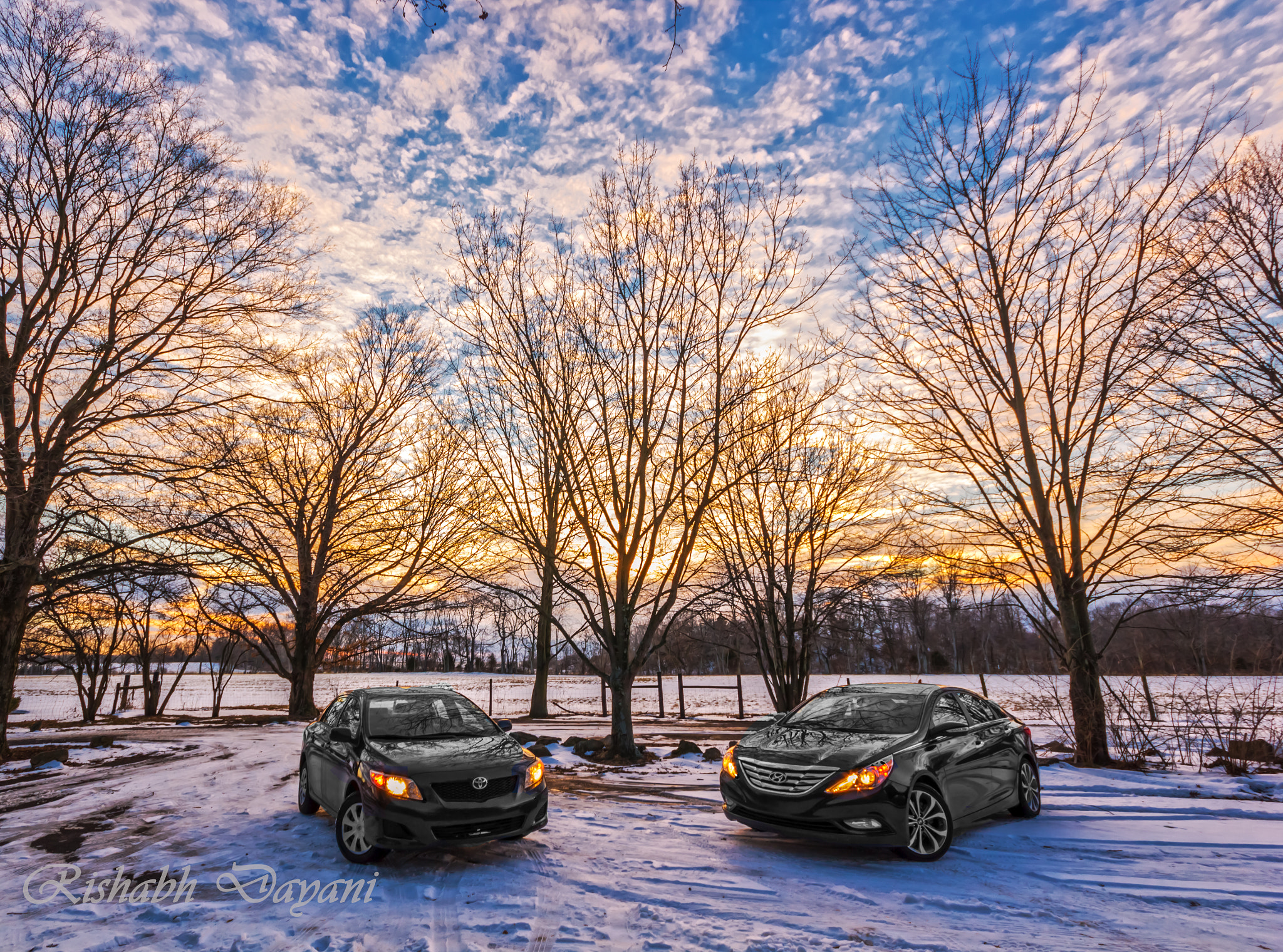 Sigma 10-20mm F4-5.6 EX DC HSM sample photo. Black beauties photography