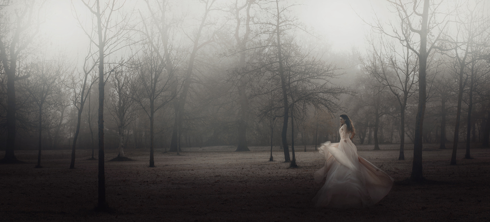 Canon EF 50mm F1.4 USM sample photo. Dance with me tonight photography