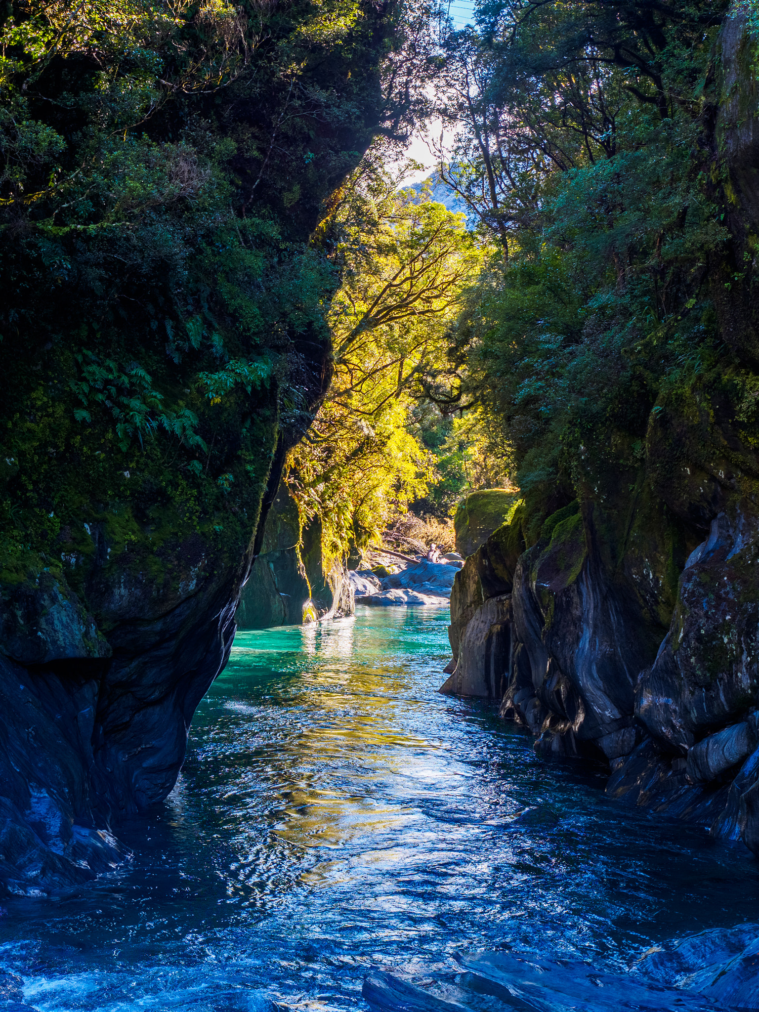 Olympus OM-D E-M5 + Olympus M.Zuiko Digital ED 12-40mm F2.8 Pro sample photo. The toaroha gorge photography