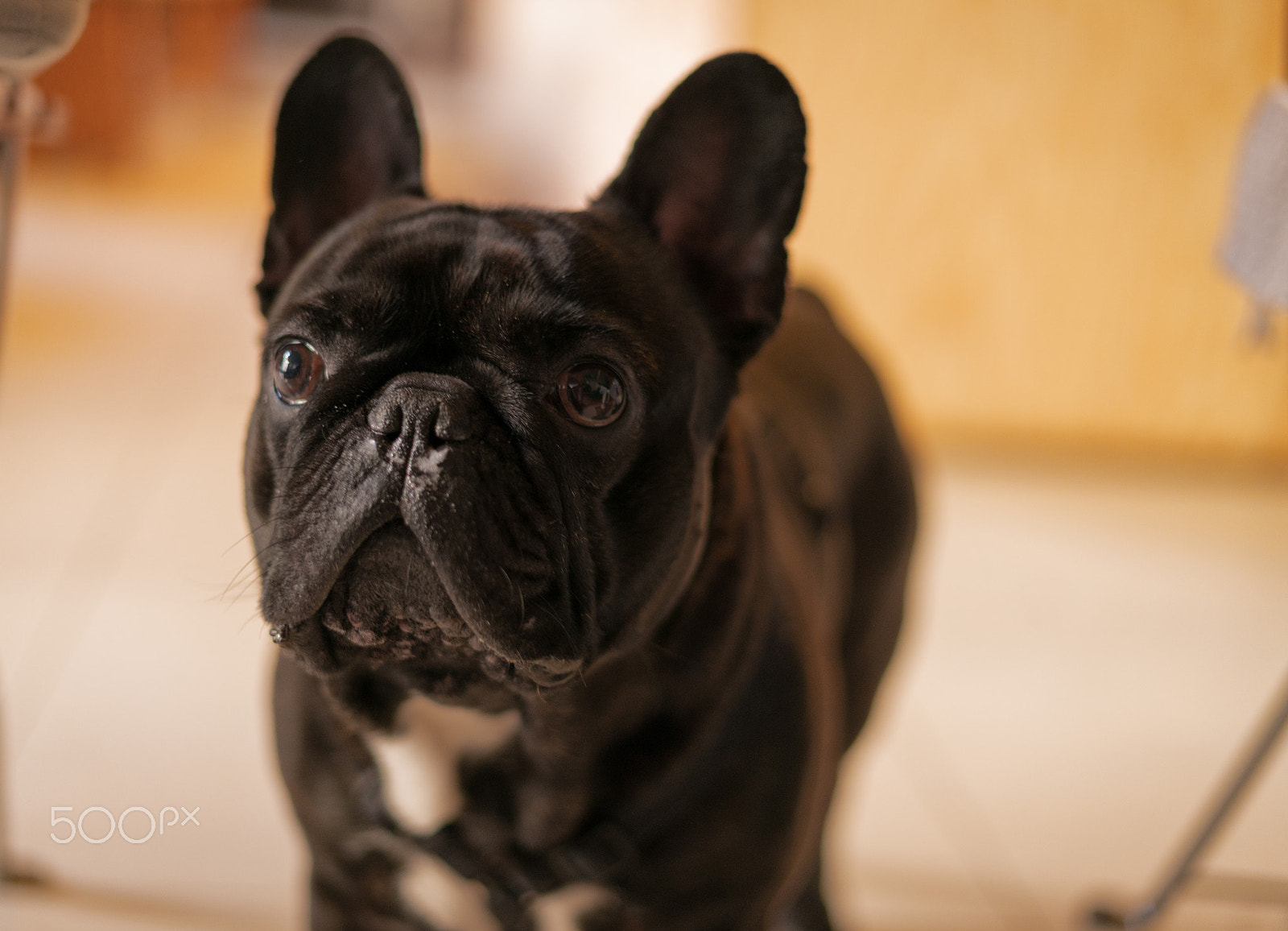 Sony a7R II + Sony FE 50mm F1.8 sample photo. Utmost faith photography