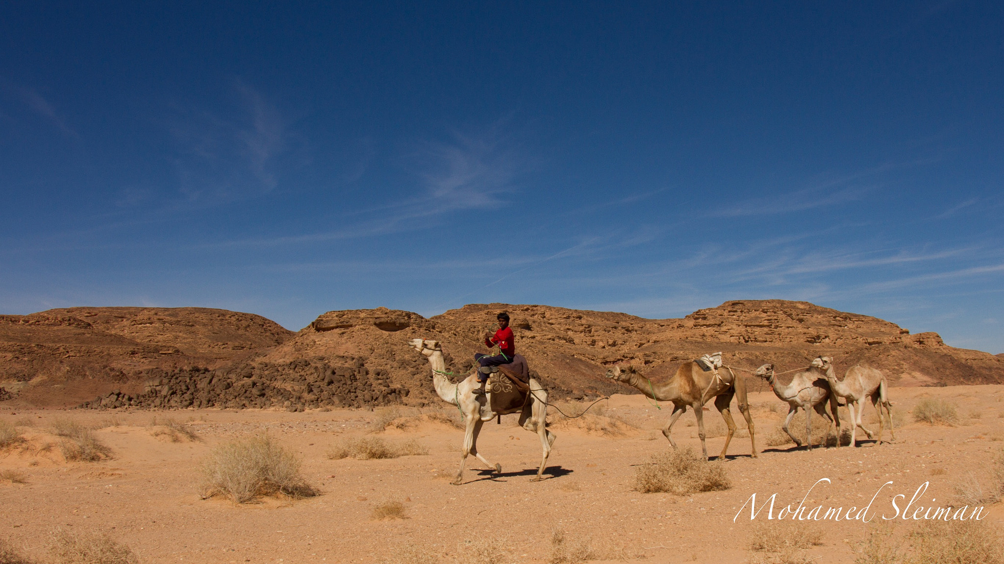 Tokina AT-X 10-17mm F3.5-4.5 DX Fisheye sample photo. Dahab desert - child with camel photography