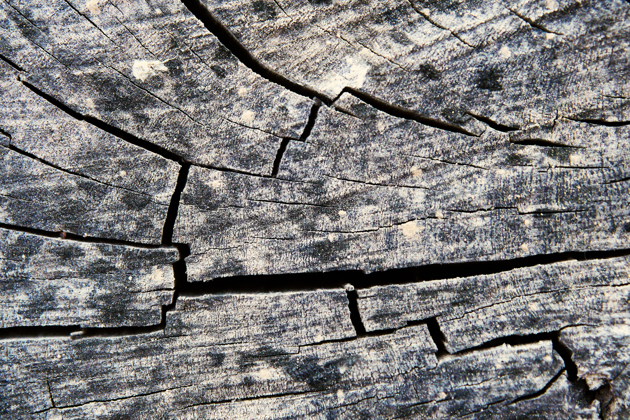 Sony DT 30mm F2.8 Macro SAM sample photo. Tectonic microplates photography