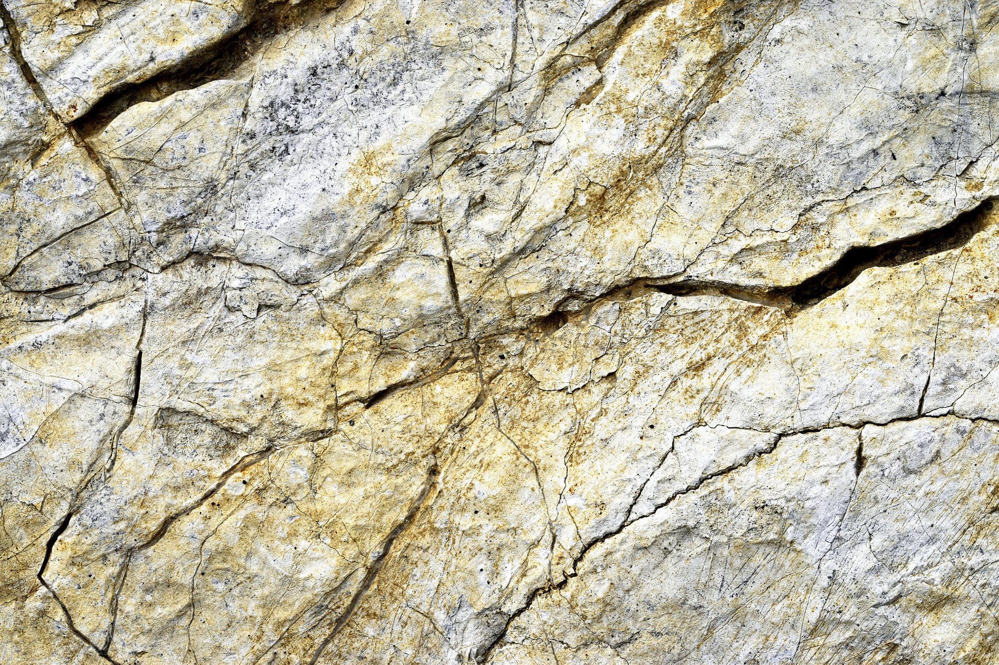 Nikon D5500 sample photo. Grooved limestone photography