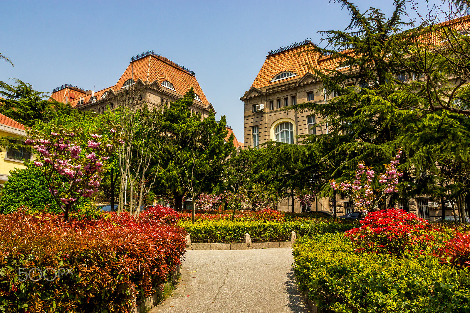Canon EOS 550D (EOS Rebel T2i / EOS Kiss X4) sample photo. Qingdao photography