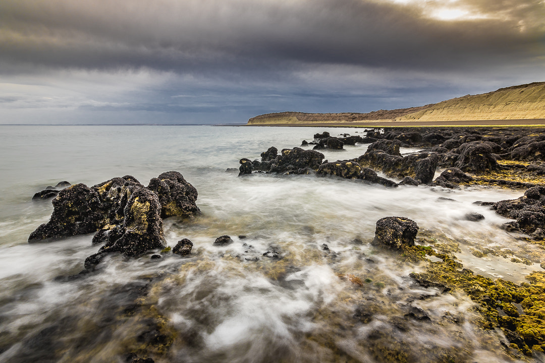 Sigma 10-20mm F4-5.6 EX DC HSM sample photo. Doradillo photography