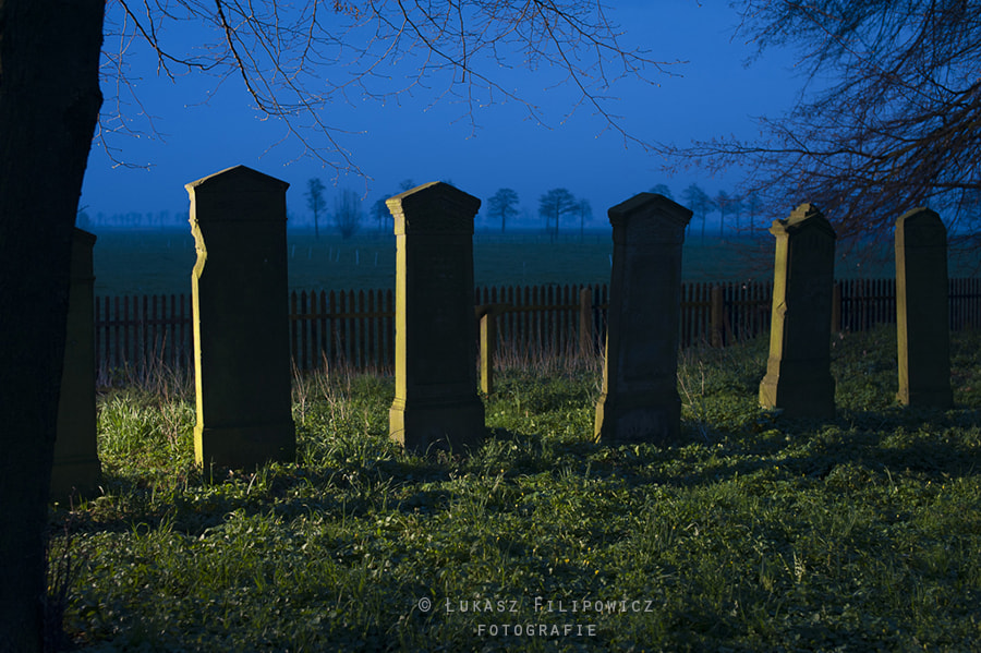 Nikon D700 + Sigma 50mm F1.4 EX DG HSM sample photo. Old graveyard photography