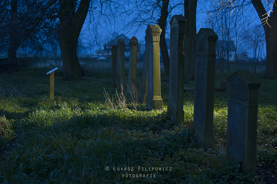 Nikon D700 + Sigma 50mm F1.4 EX DG HSM sample photo. Old graveyard photography