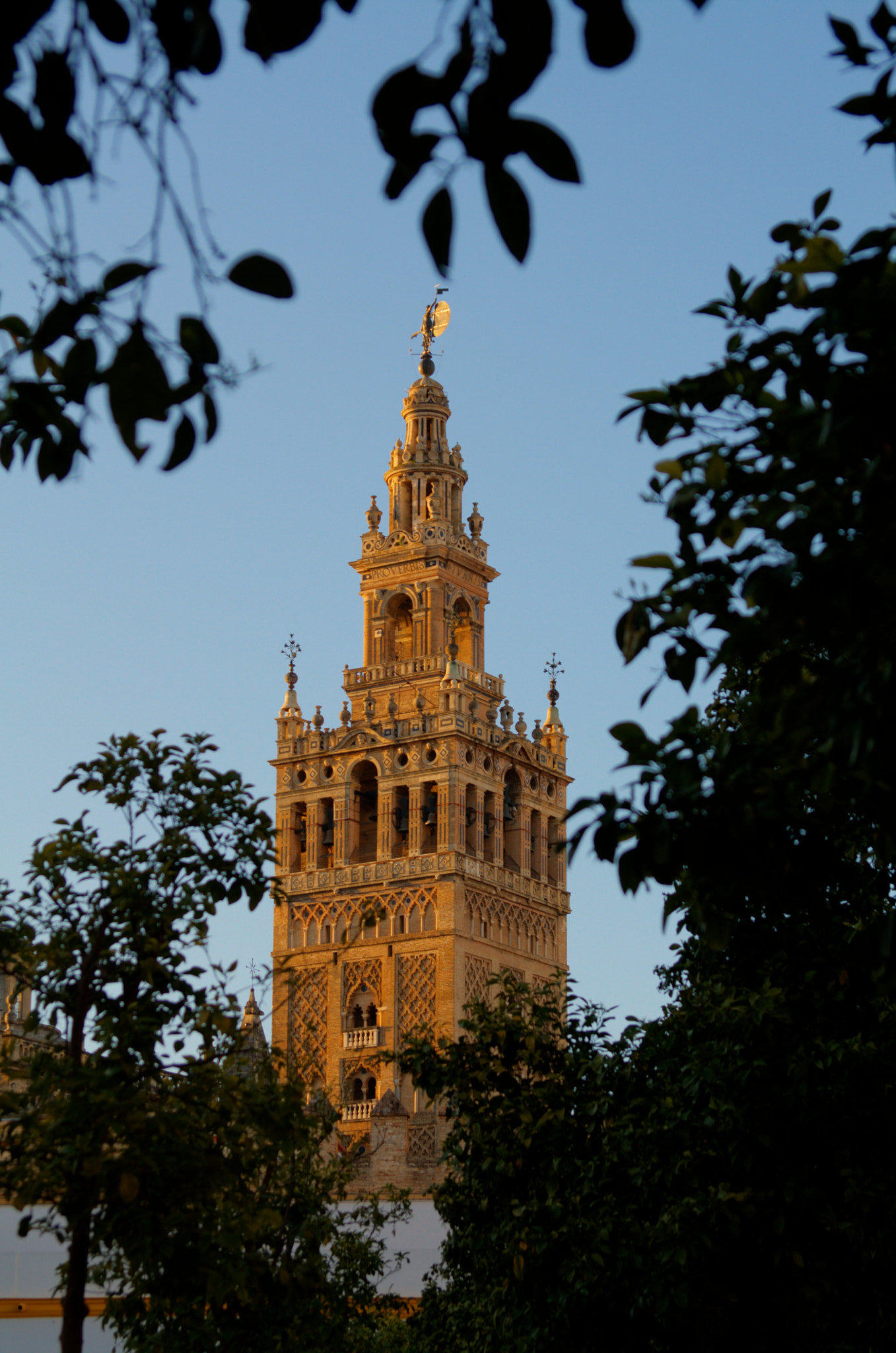 Canon EF 28-105mm f/3.5-4.5 USM sample photo. Giralda photography
