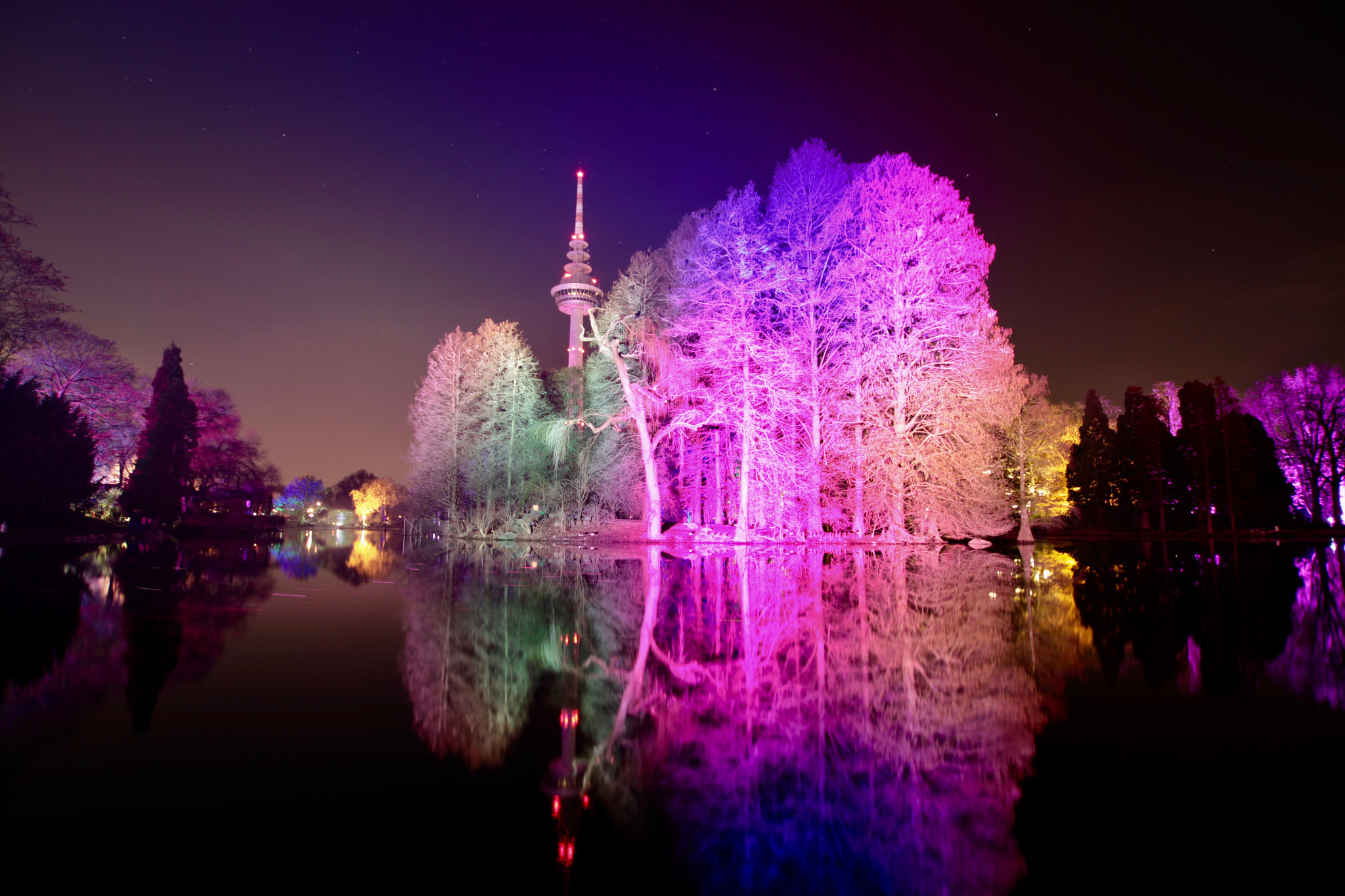Sigma 10-20mm F3.5 EX DC HSM sample photo. Winterlichter luisenpark photography
