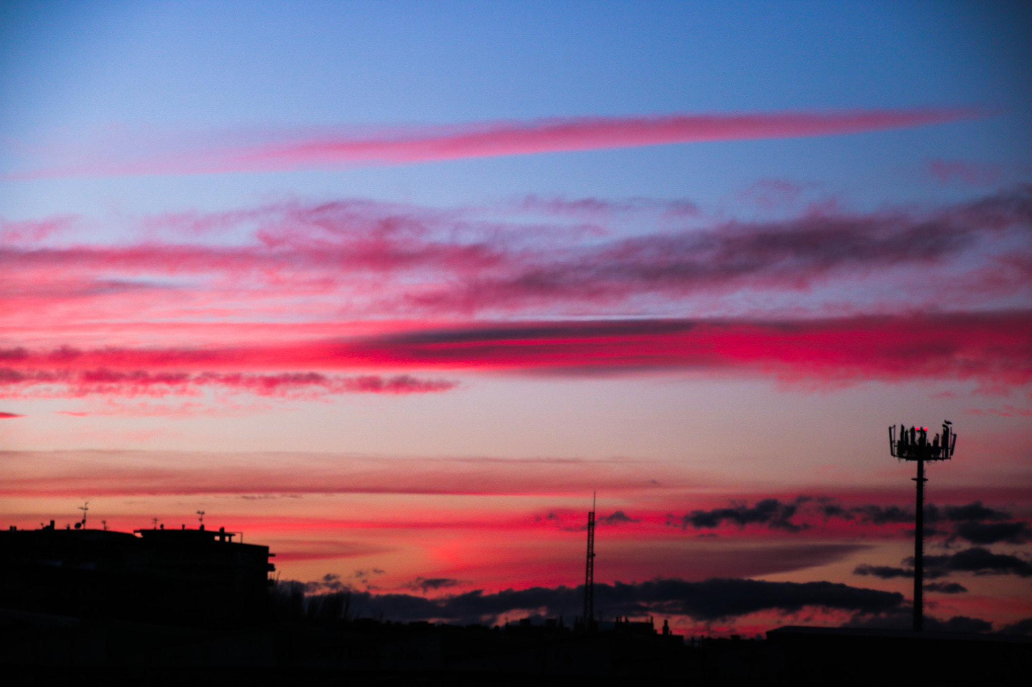 Canon EOS 750D (EOS Rebel T6i / EOS Kiss X8i) sample photo. Sunset in the park photography