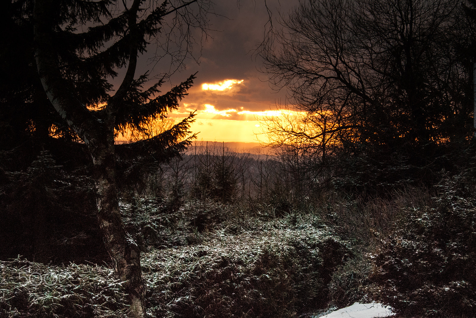 Nikon D200 sample photo. Sunset / Čenkovice photography