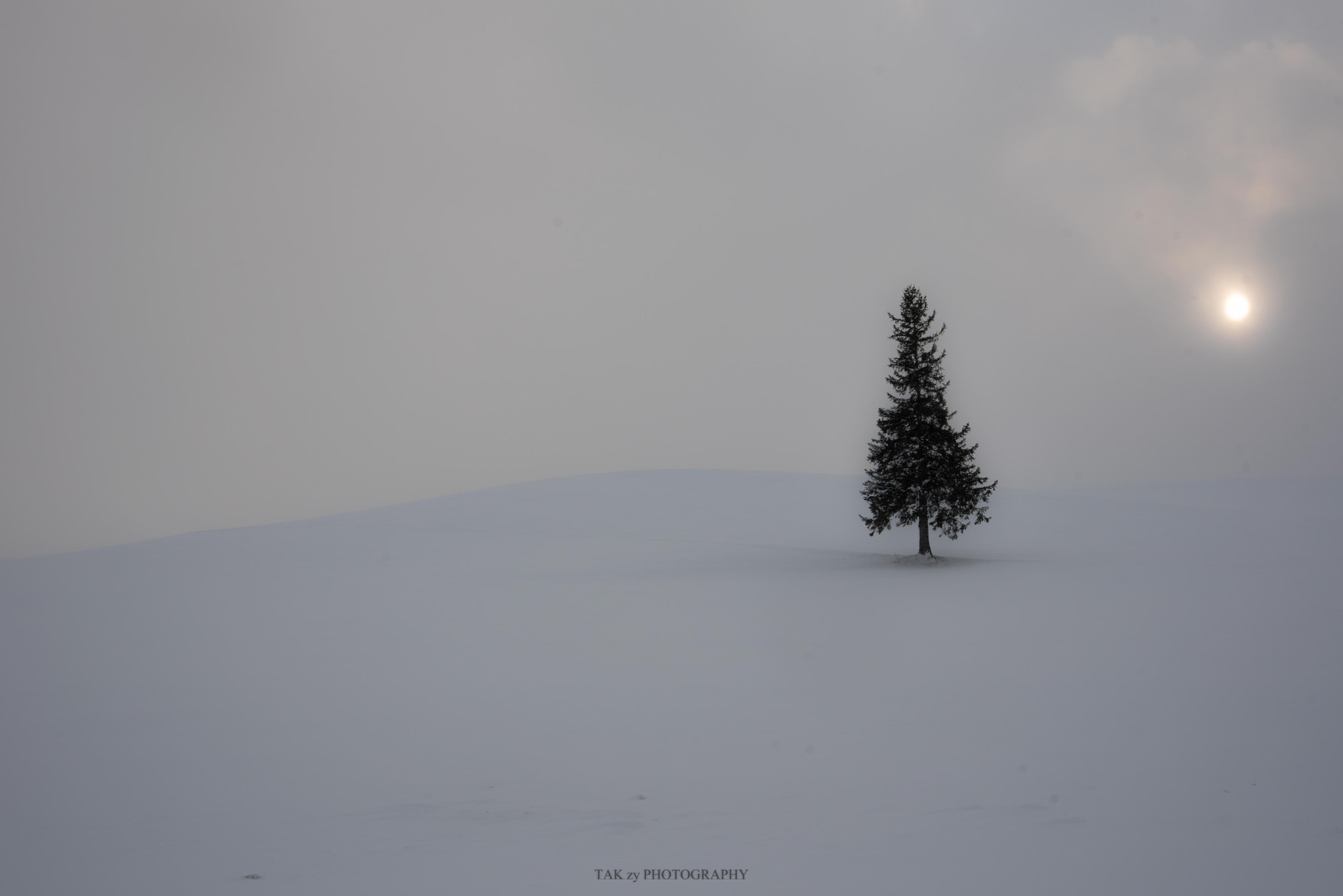Nikon AF-S Nikkor 18-35mm F3.5-4.5G ED sample photo. Biei ”the christmastree” photography