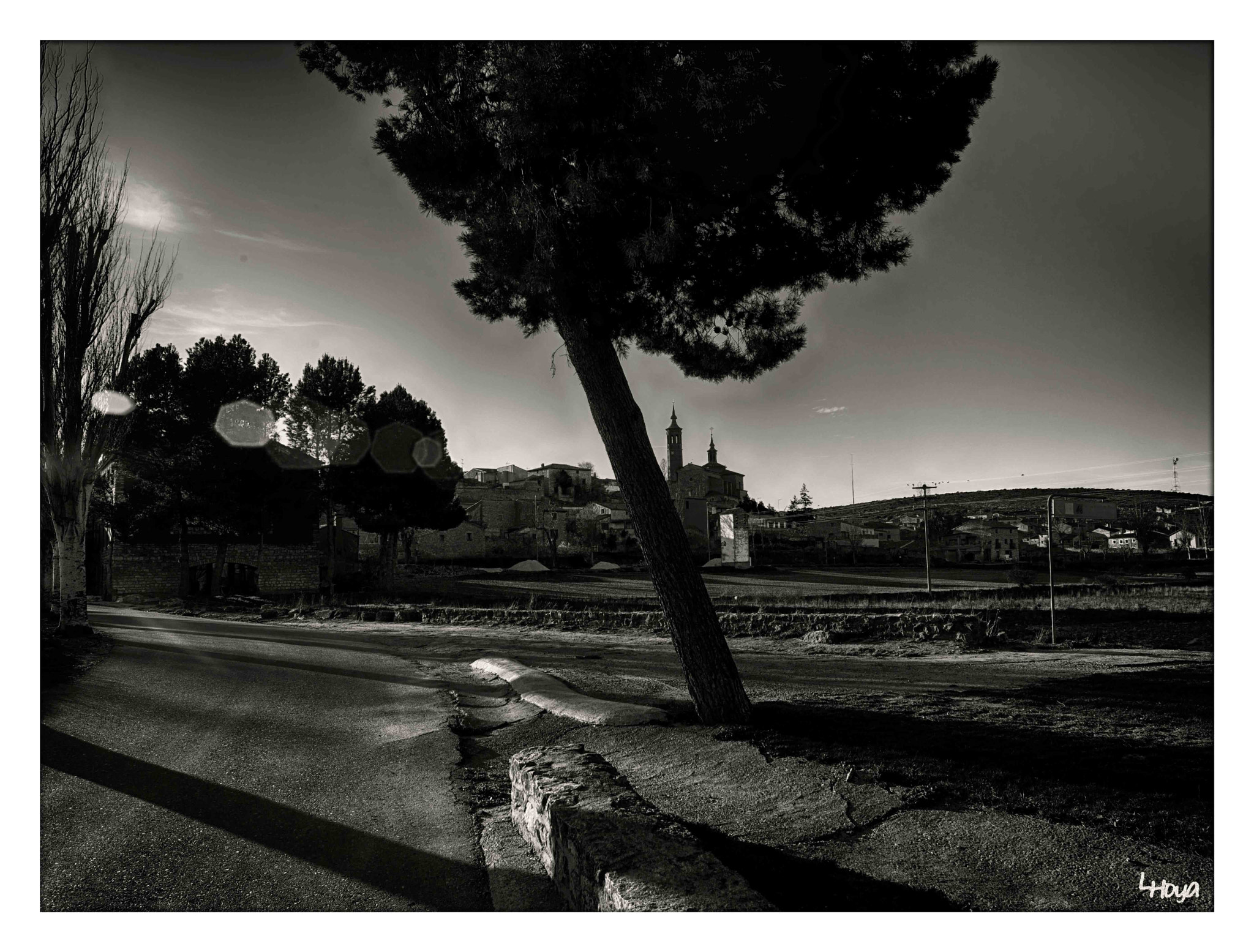 Nikon D610 + AF Nikkor 24mm f/2.8 sample photo. Arbol inclinado p photography