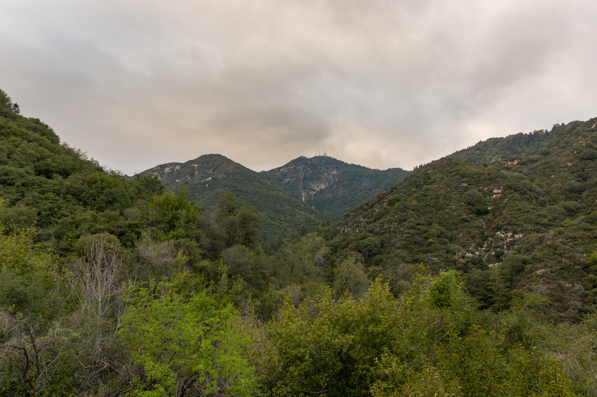 Pentax K-3 II sample photo. Mt wilson observatory photography